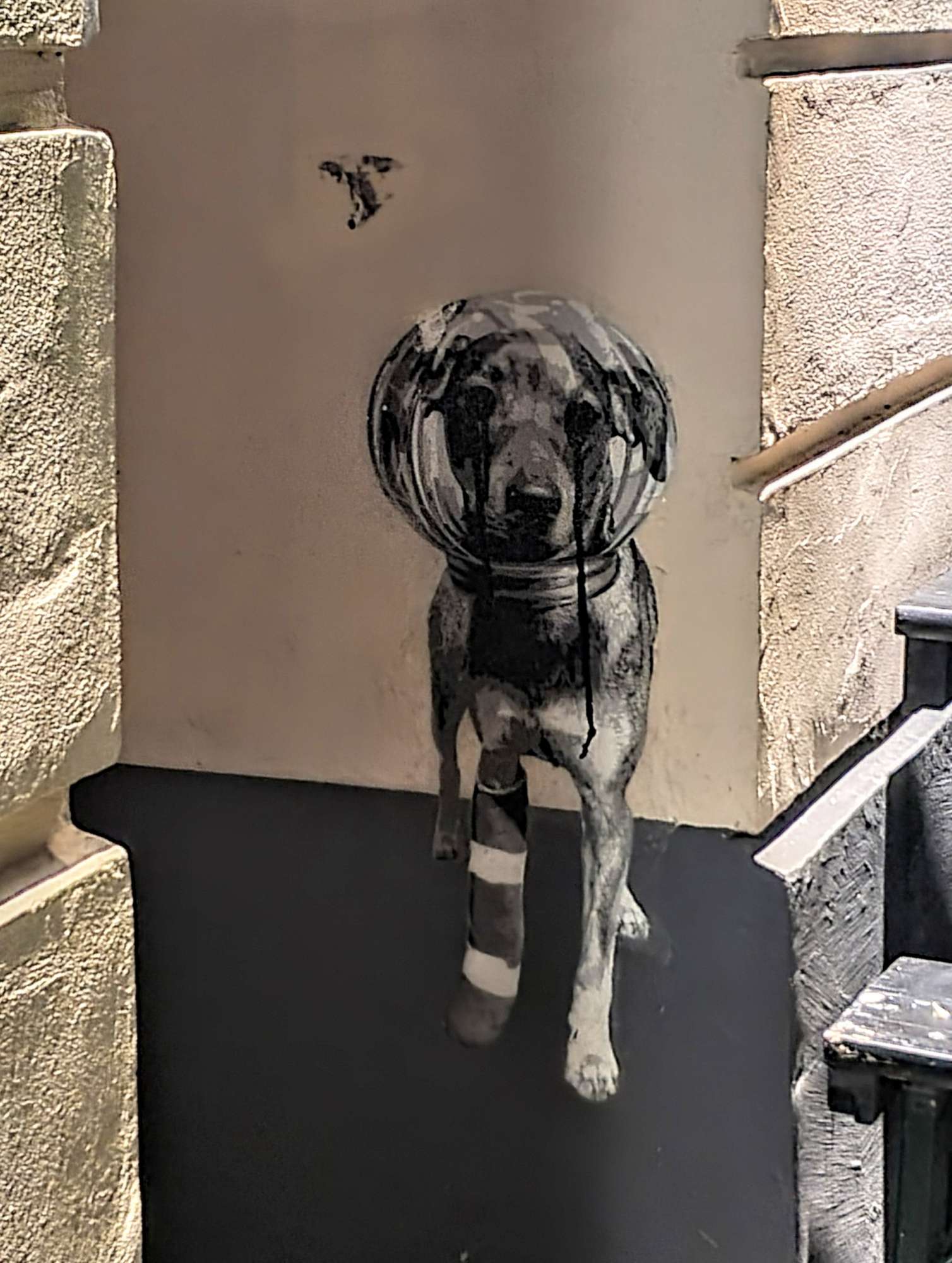 
								Street-art graffiti fresque 
								 
									20 Gabriel-Max-Stra&szlig;e
									10245
									Berlin
									Germany 
									Pat Finder
								Street-Art-Safari.com
								