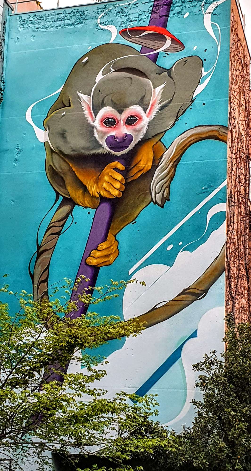 
								Street-art graffiti fresque 
								Kalouf 
									58 Rue Gorge de Loup
									69009
									Lyon
									France 
									Pat Finder
								Street-Art-Safari.com
								