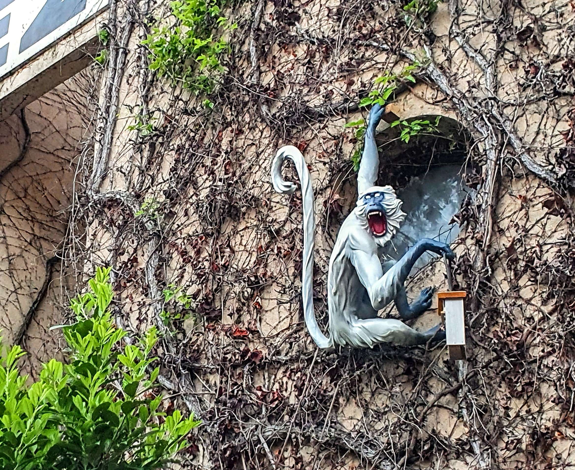 
								Street-art graffiti fresque 
								Blast 
									55 Rue Saint-Pierre de Vaise
									69009
									Lyon
									France 
									Pat Finder
								Street-Art-Safari.com
								