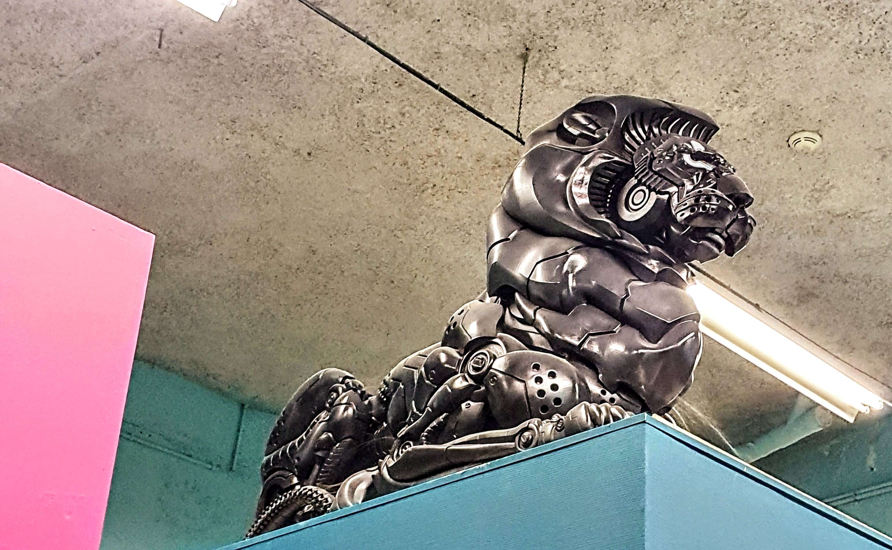 
								Street-art graffiti fresque 
								Blast 
									80 Rue Saint-Pierre de Vaise
									69009
									Lyon
									France 
									Pat Finder
								Street-Art-Safari.com
								