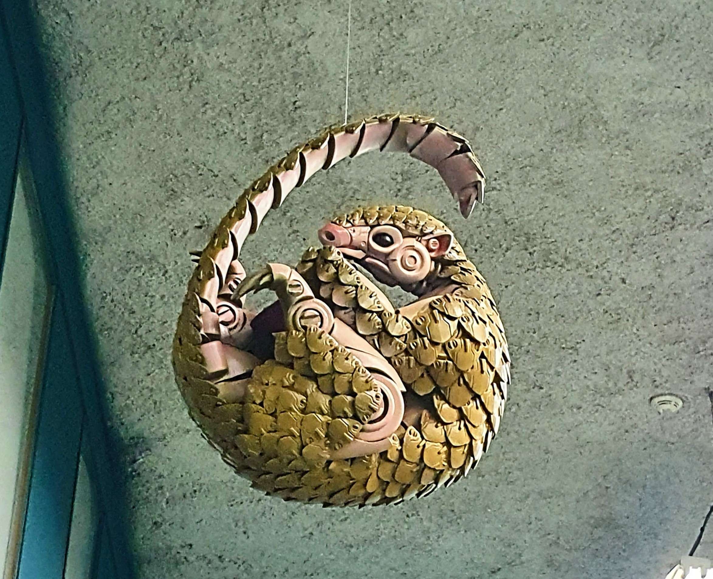 
								Street-art graffiti fresque 
								 
									29 Rue du Docteur Horand
									69009
									Lyon
									France 
									Pat Finder
								Street-Art-Safari.com
								