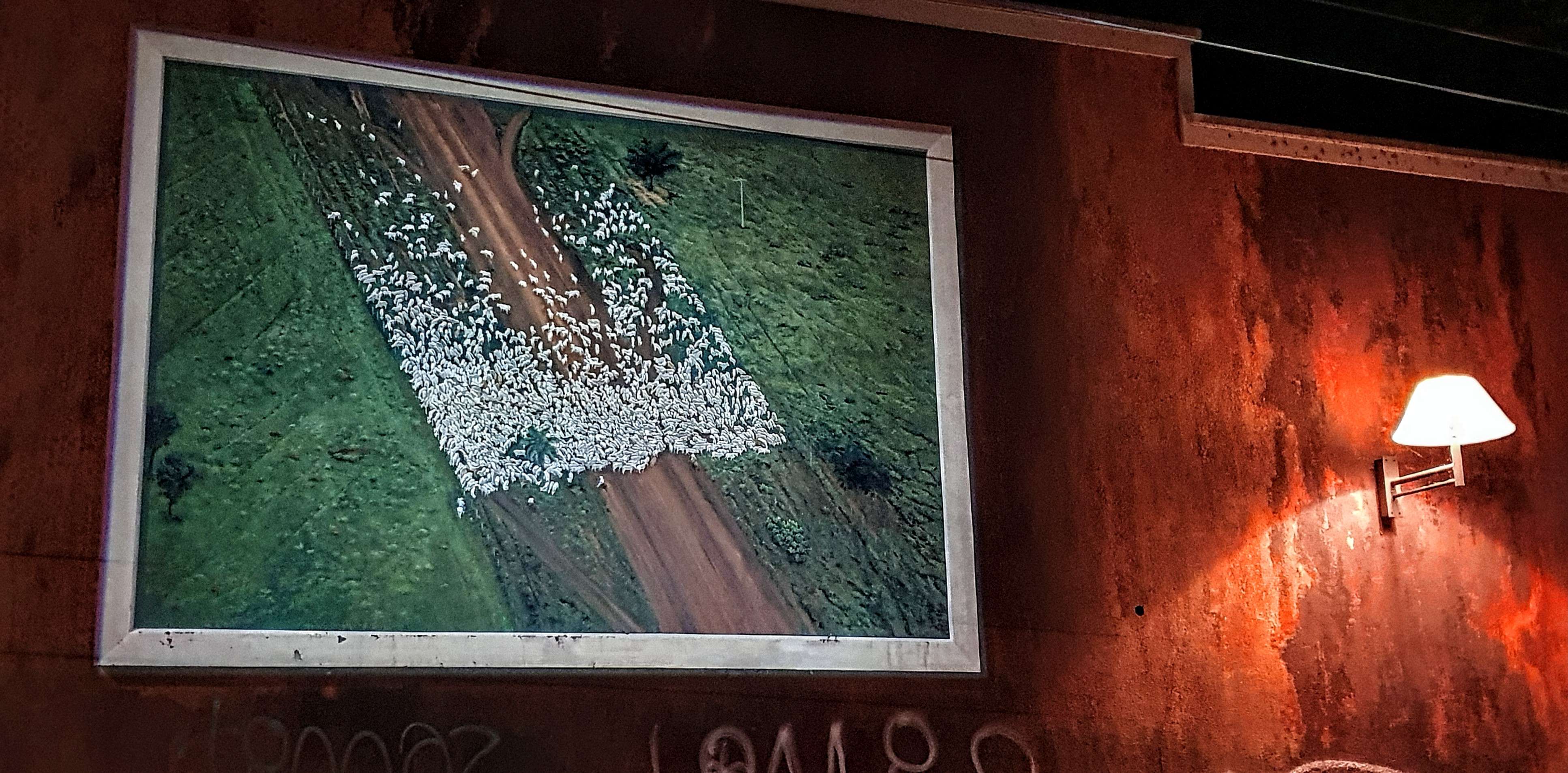 
								Street-art graffiti fresque 
								Yann Arthus-Bertrand 
									12 Rue de l'Annonciade
									69001
									Lyon
									France 
									Pat Finder
								Street-Art-Safari.com
								