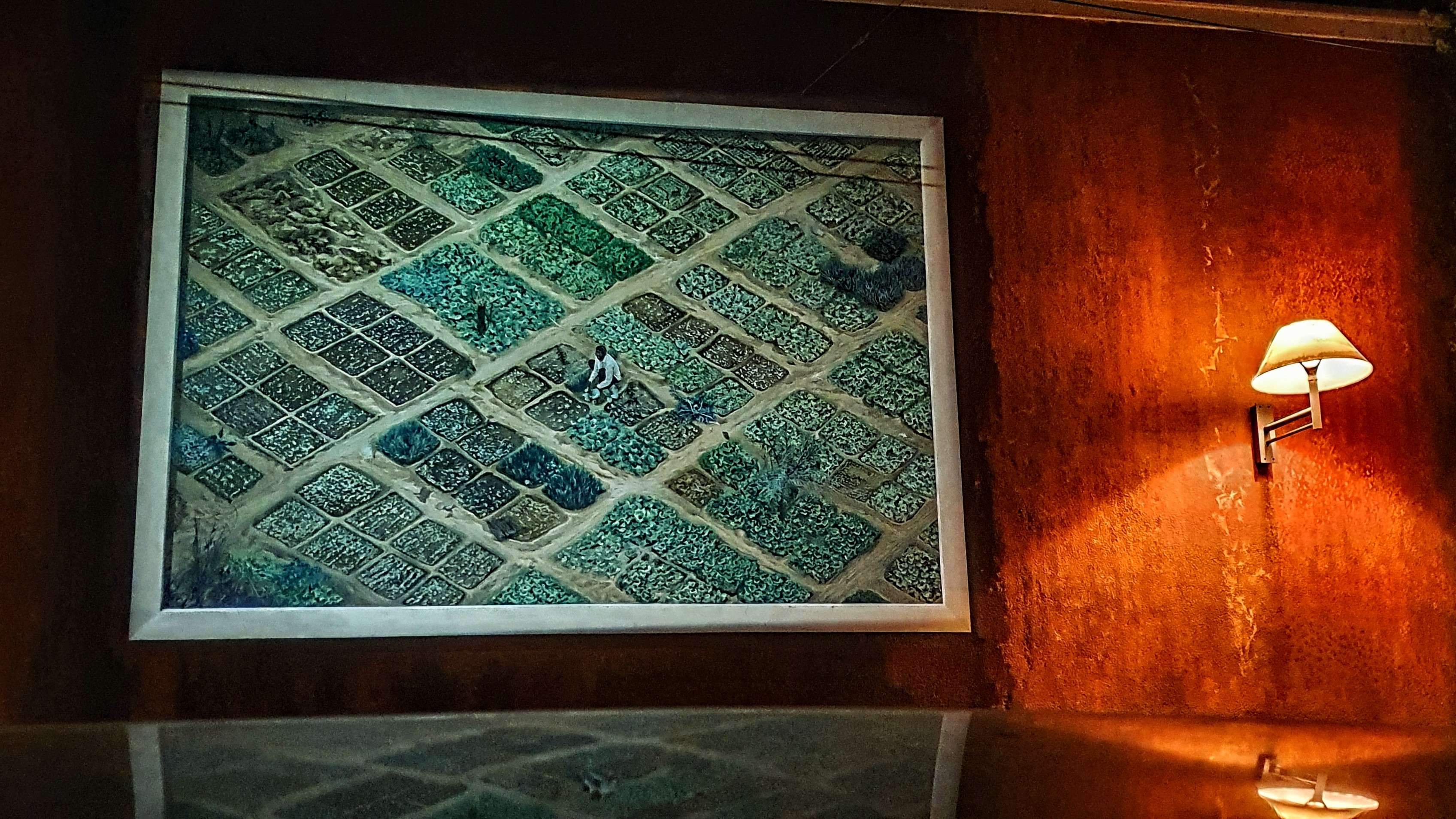 
								Street-art graffiti fresque 
								Yann Arthus-Bertrand 
									10 Rue de l'Annonciade
									69001
									Lyon
									France 
									Pat Finder
								Street-Art-Safari.com
								