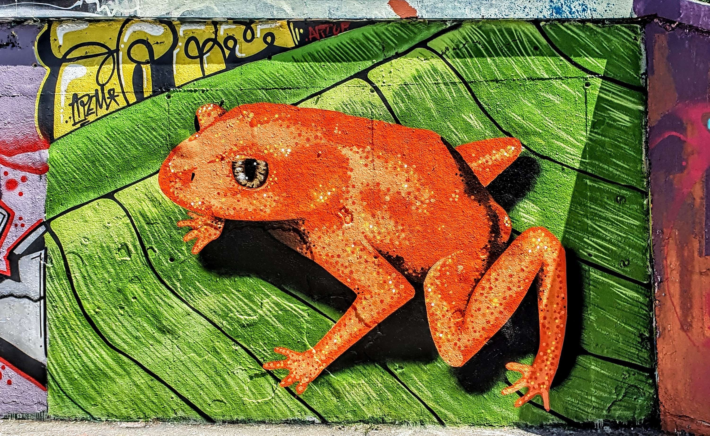 
								Street-art graffiti fresque 
								Arem 
									102 Quai du G&eacute;n&eacute;ral Sarrail
									69006
									Lyon
									France 
									Pat Finder
								Street-Art-Safari.com
								