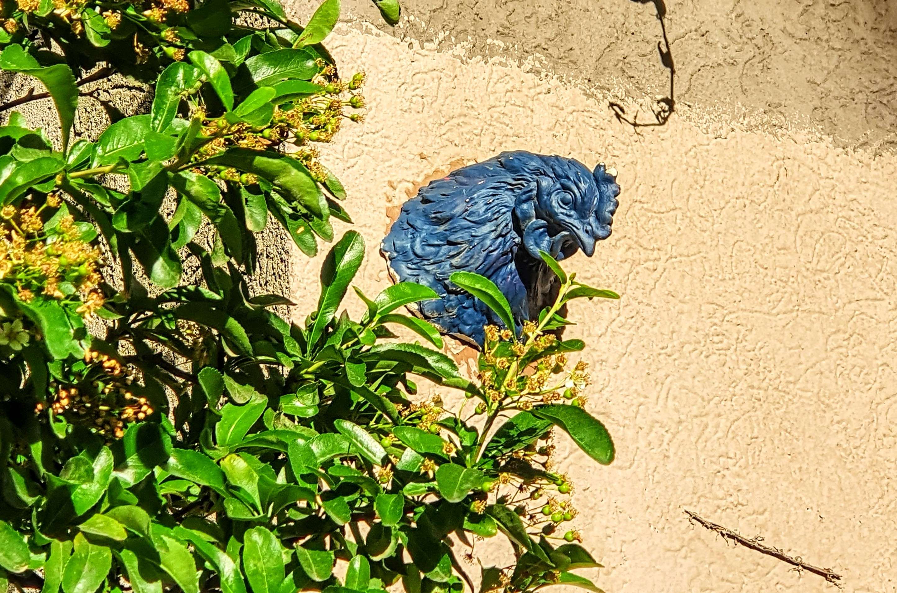 
								Street-art graffiti fresque 
								Zorm 
									293 Rue Garibaldi
									69007
									Lyon
									France 
									Pat Finder
								Street-Art-Safari.com
								