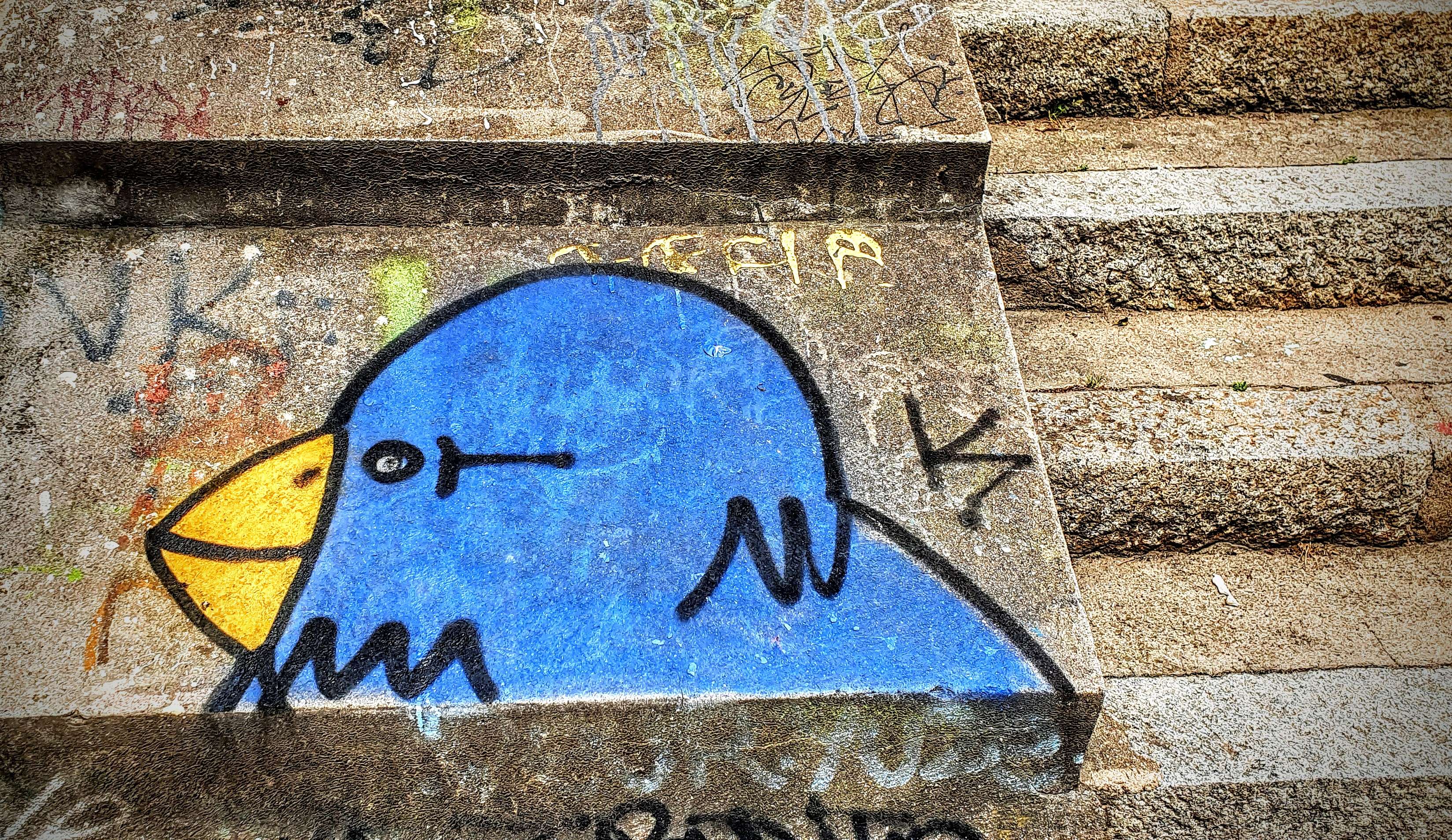 
								Street-art graffiti fresque 
								Ka&iuml;ros 
									25 Impasse du Mont Sauvage
									69001
									Lyon
									France 
									Pat Finder
								Street-Art-Safari.com
								