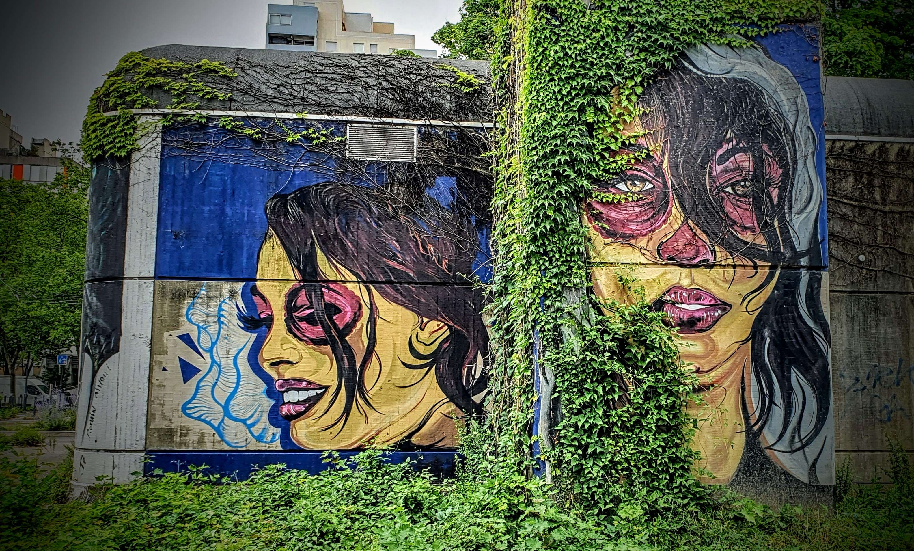 
								Street-art graffiti fresque 
								 
									1 Rue des 3 Quartiers
									38100
									Grenoble
									France 
									Pat Finder
								Street-Art-Safari.com
								