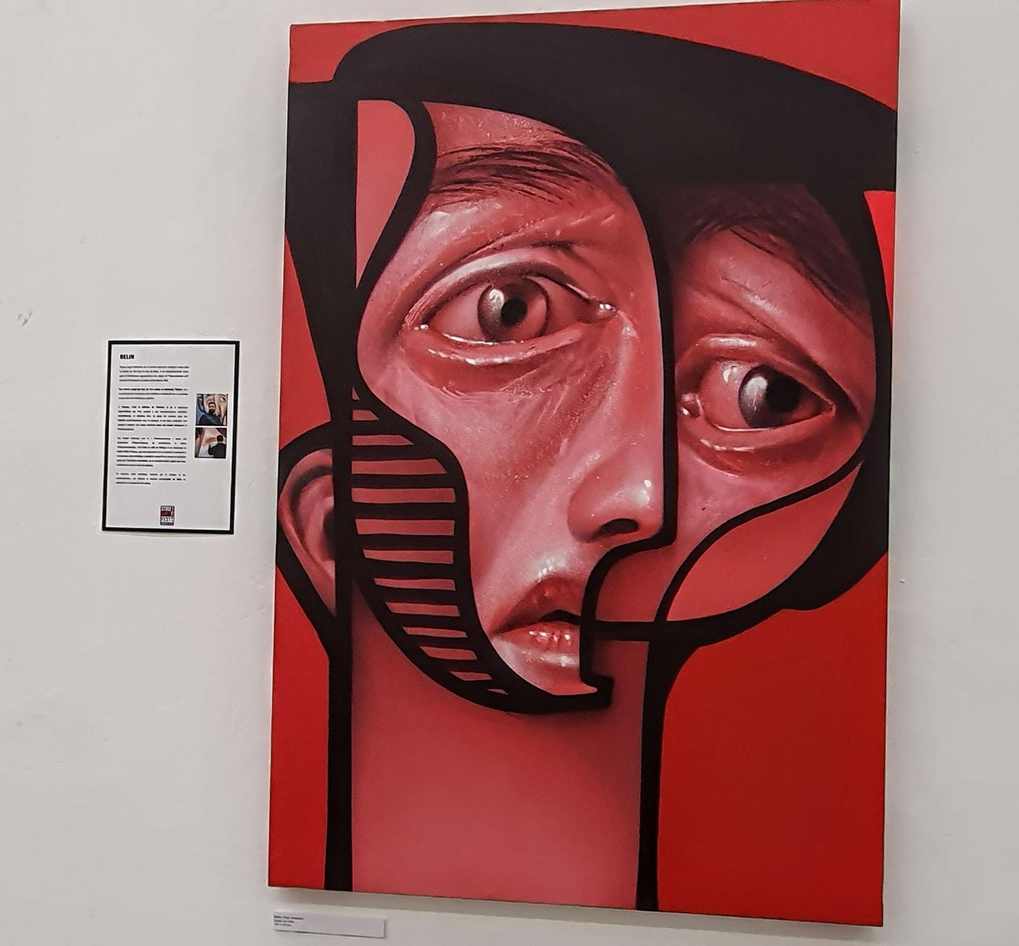 
								Street-art graffiti fresque 
								Belin 
									3 Rue Dominique Villars
									38000
									Grenoble
									France 
									Pat Finder
								Street-Art-Safari.com
								