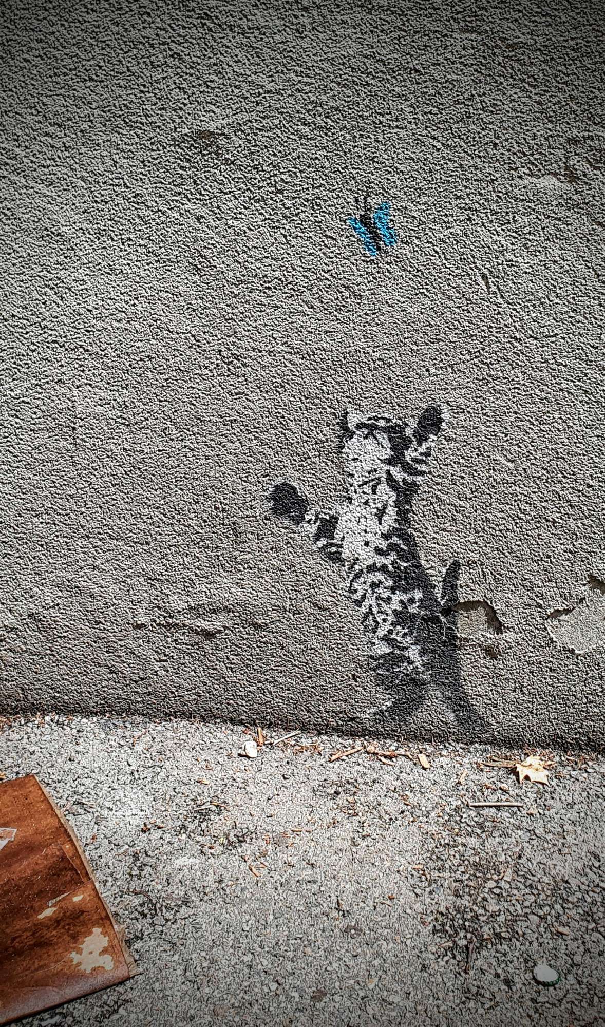 
								Street-art graffiti fresque 
								By Dav' 
									117bis Avenue des Fr&egrave;res Lumi&egrave;re
									69008
									Lyon
									France 
									Pat Finder
								Street-Art-Safari.com
								