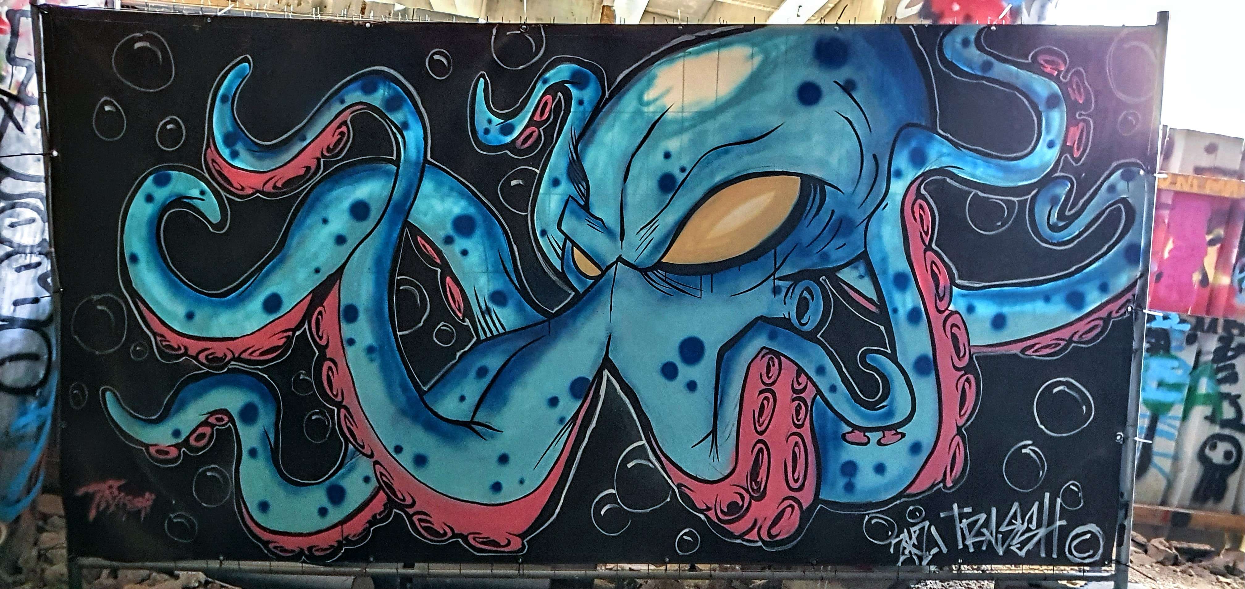 
								Street-art graffiti fresque 
								Trassh G&eacute;rald 
									46 All&eacute;e Paris-Ivry
									75013
									Paris
									France 
									Pat Finder
								Street-Art-Safari.com
								