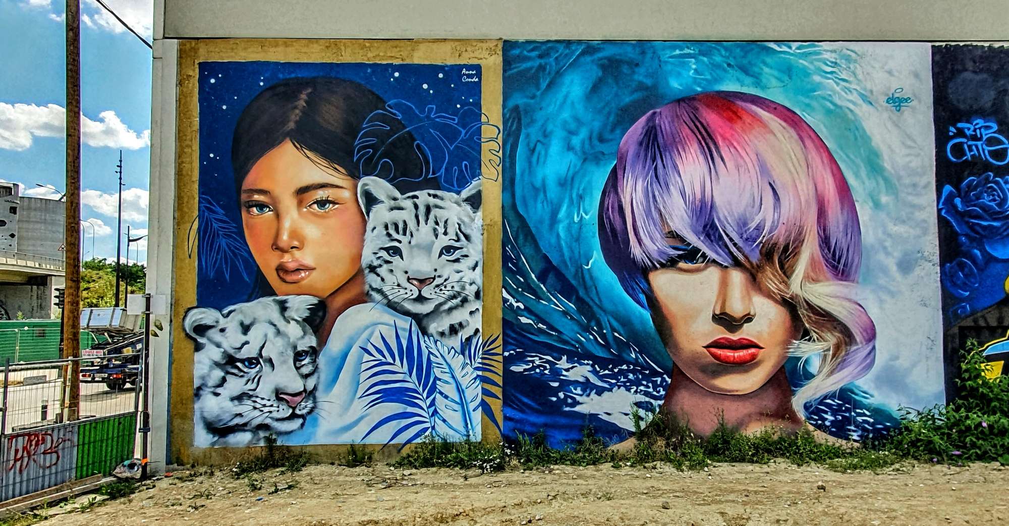 
								Street-art graffiti fresque 
								Anna Conda, Elgee 
									18 Rue Jean-Baptiste Berlier
									75013
									Paris
									France 
									Pat Finder
								Street-Art-Safari.com
								