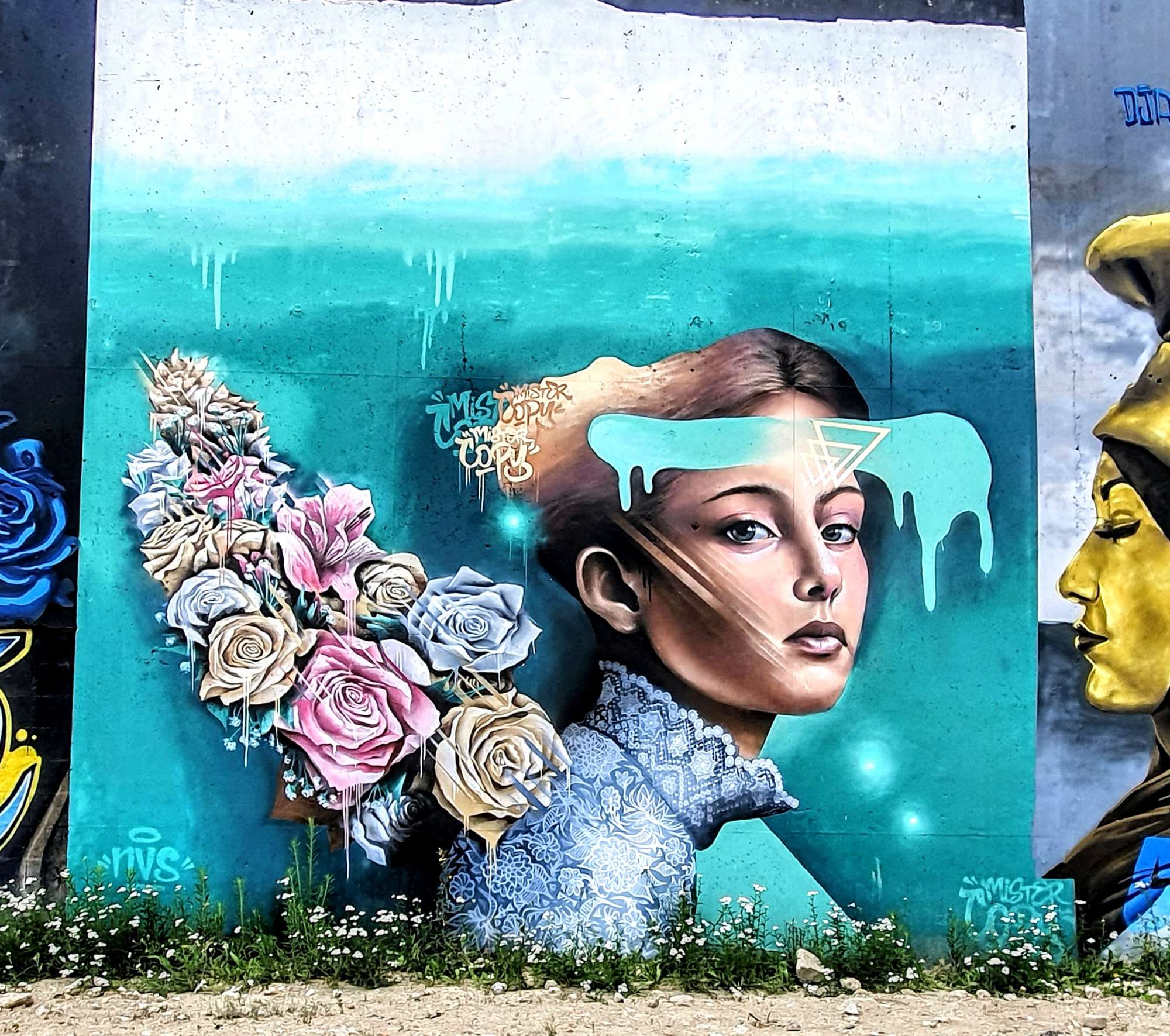 
								Street-art graffiti fresque 
								Mister Copy 
									47 All&eacute;e Paris-Ivry
									75013
									Paris
									France 
									Pat Finder
								Street-Art-Safari.com
								