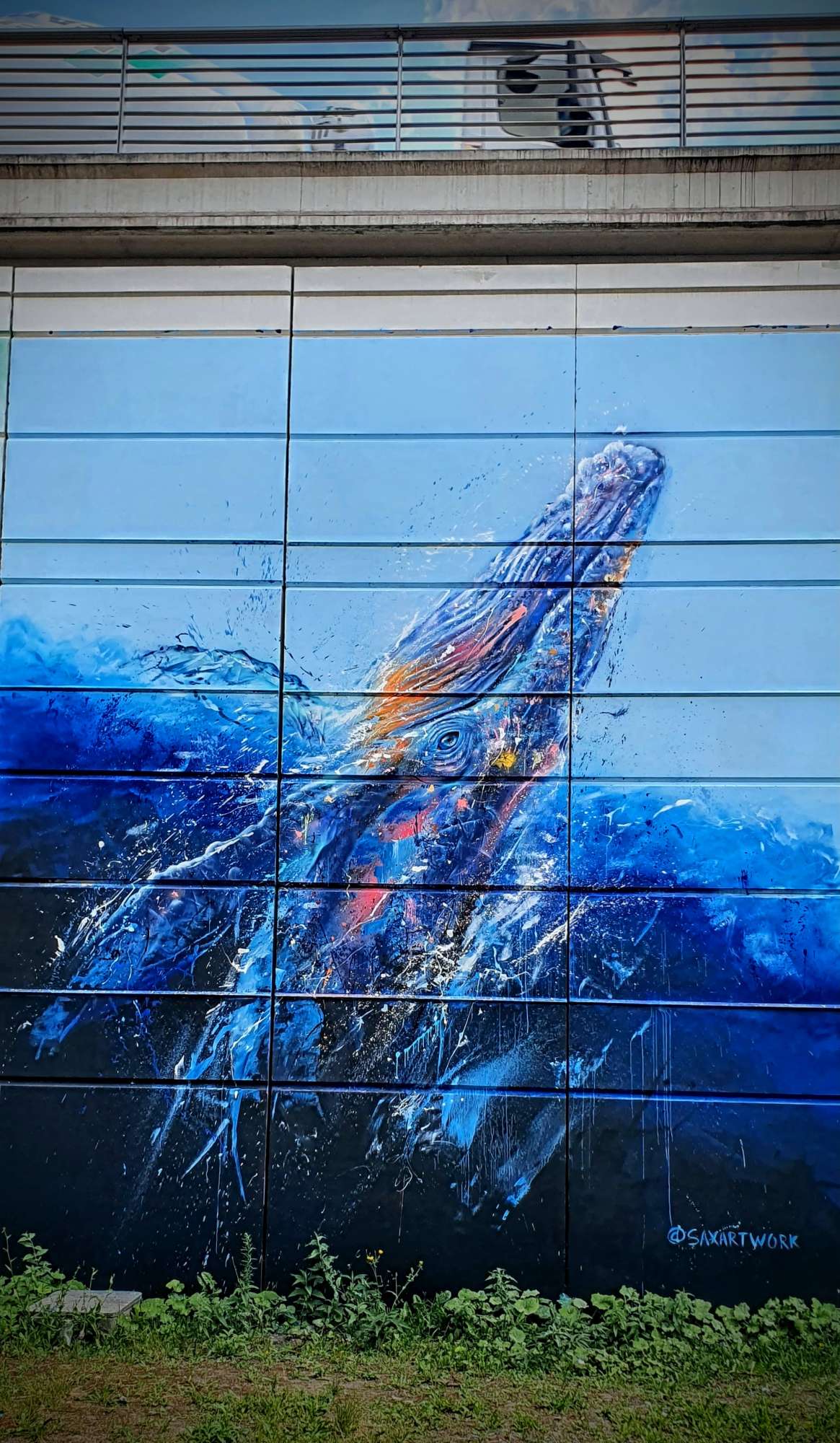 
								Street-art graffiti fresque 
								SAX 
									10 Rue Jean-Baptiste Berlier
									75013
									Paris
									France 
									Pat Finder
								Street-Art-Safari.com
								