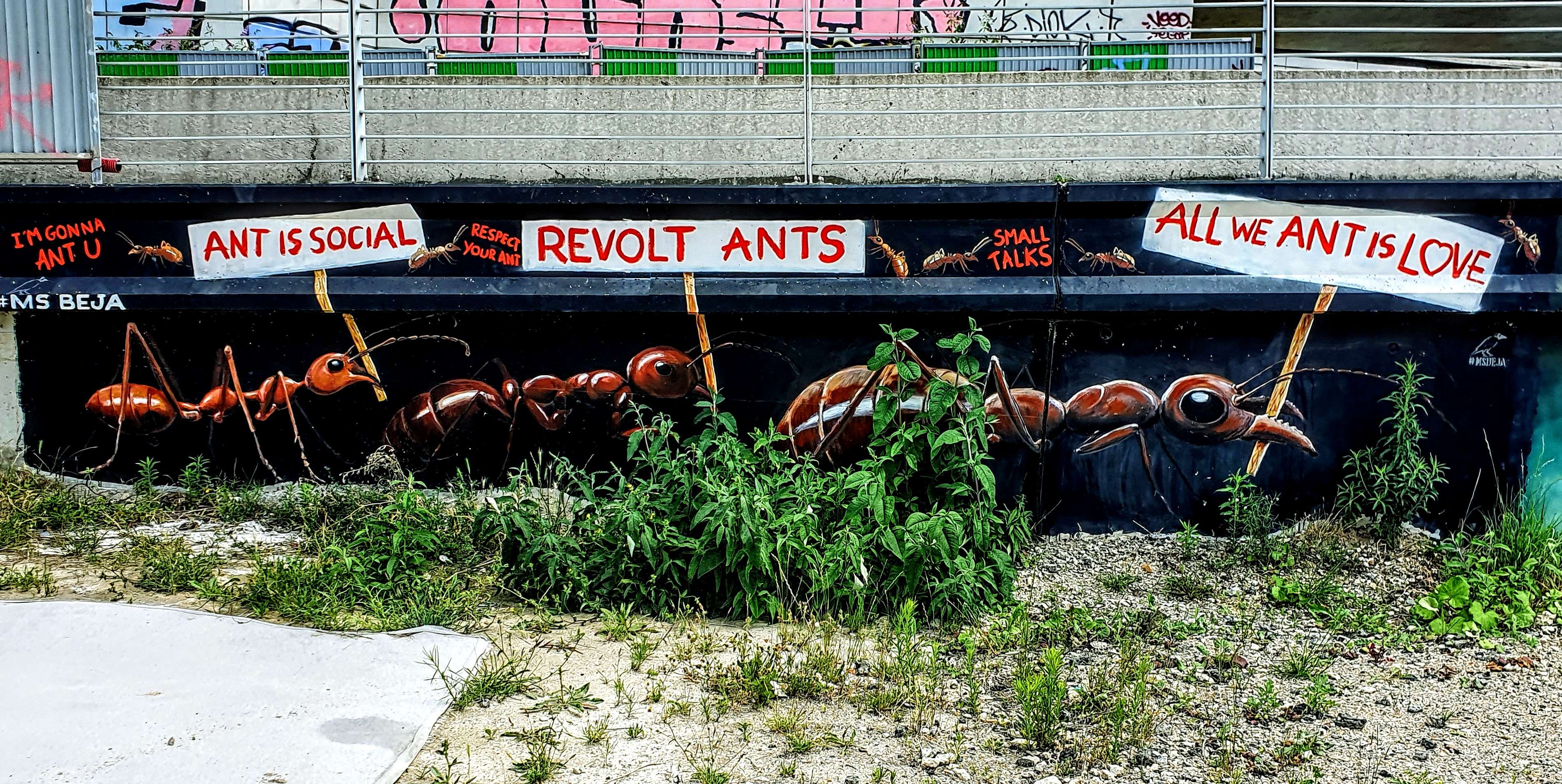 
								Street-art graffiti fresque 
								MS B&eacute;ja 
									10 Rue Jean-Baptiste Berlier
									75013
									Paris
									France 
									Pat Finder
								Street-Art-Safari.com
								