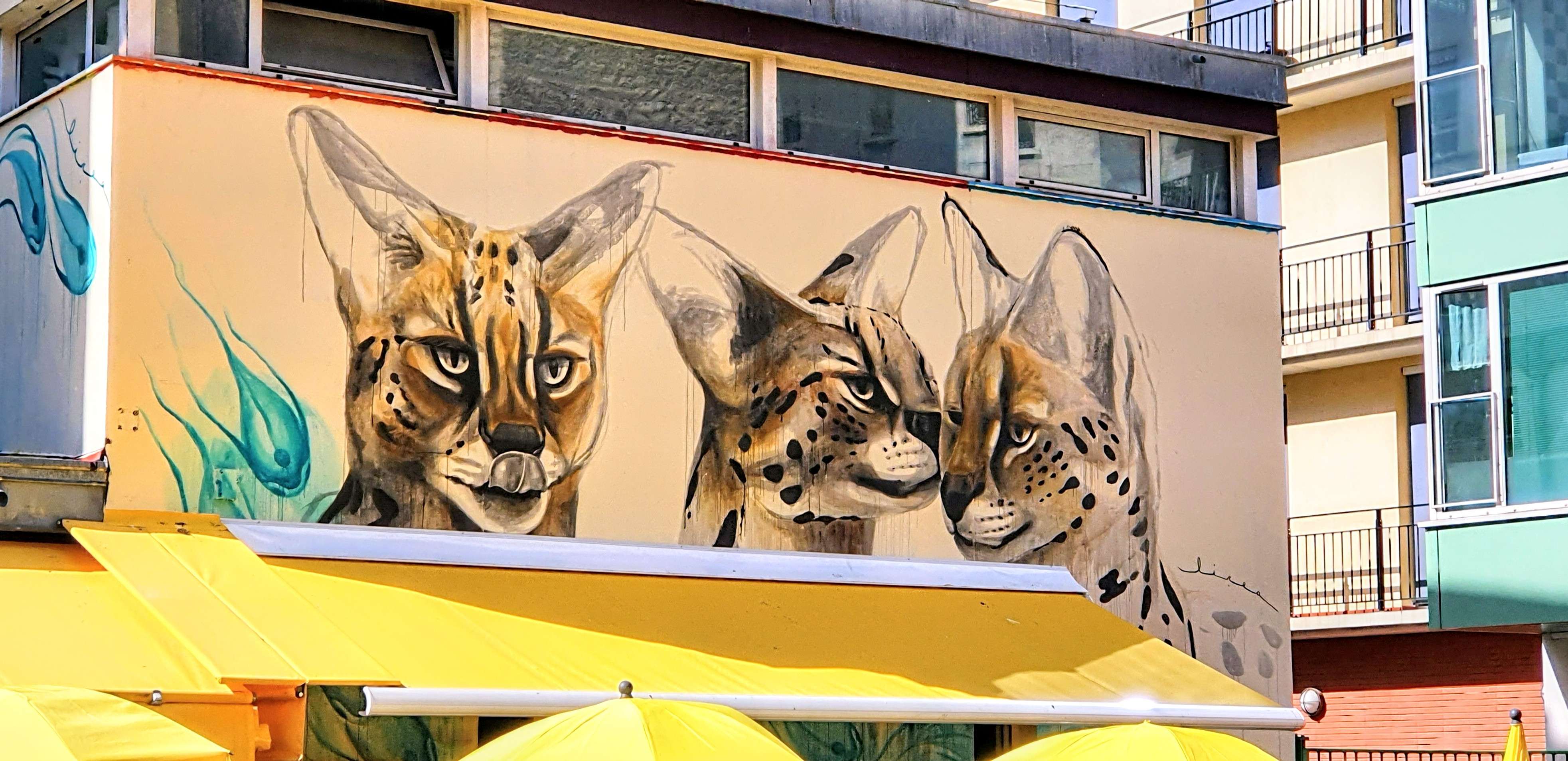 
								Street-art graffiti fresque 
								 
									116 Avenue de Choisy
									75013
									Paris
									France 
									Pat Finder
								Street-Art-Safari.com
								