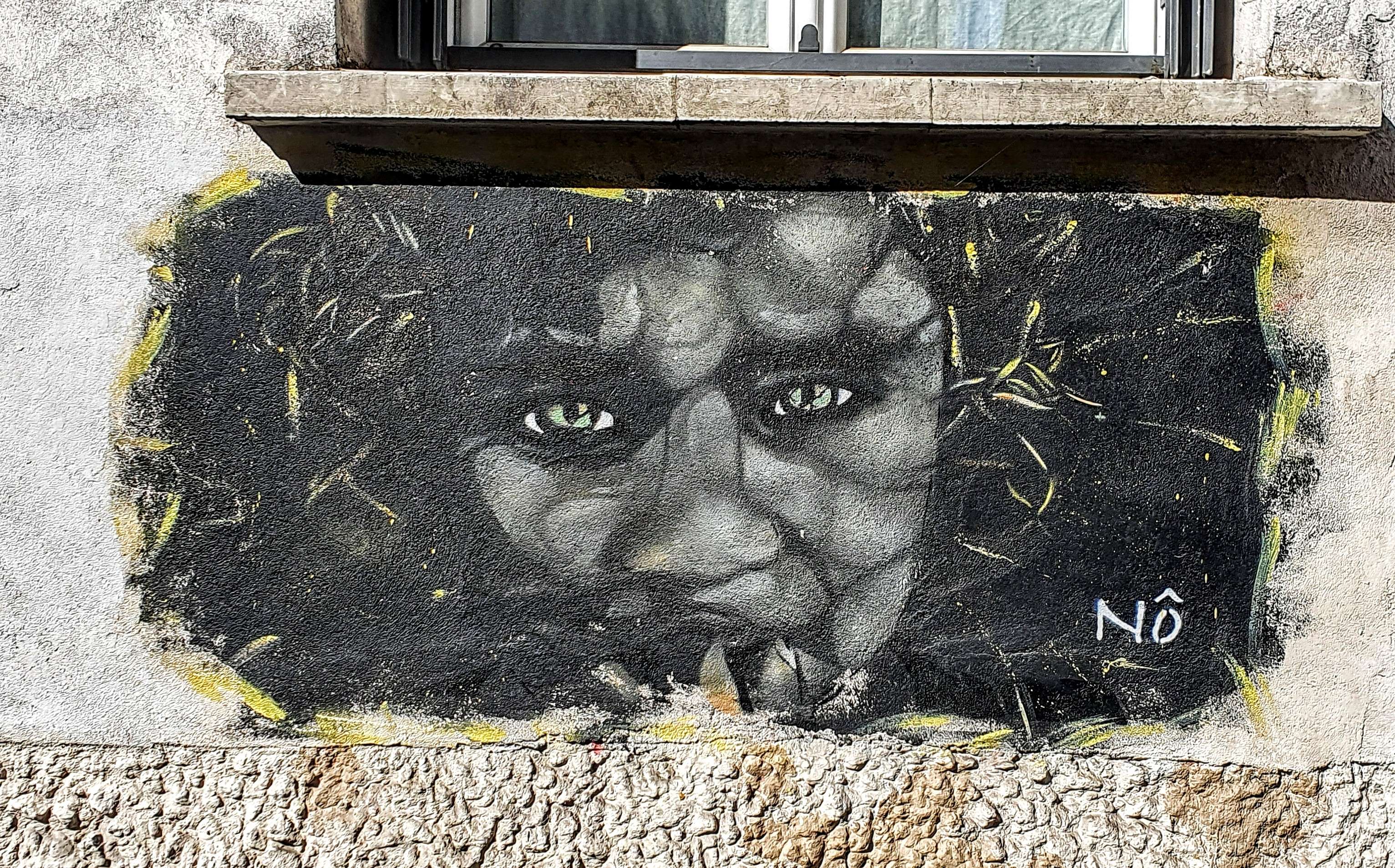 
								Street-art graffiti fresque 
								N&ocirc; 
									13 Rue Buot
									75013
									Paris
									France 
									Pat Finder
								Street-Art-Safari.com
								