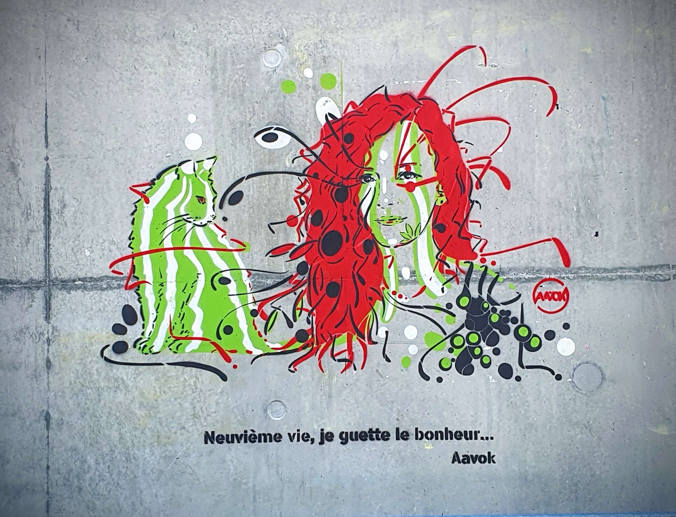 
								Street-art graffiti fresque 
								Aavok 
									2 Rue Pr&eacute;-Gaudry
									69007
									Lyon
									France 
									Pat Finder
								Street-Art-Safari.com
								