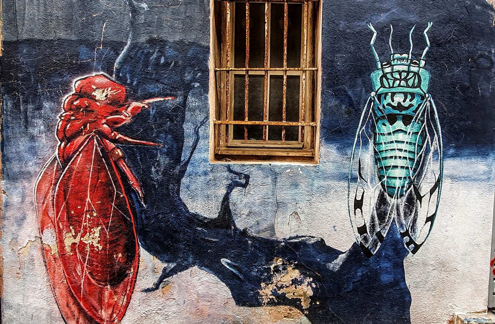 
								Street-art graffiti fresque 
								 
									8 Rue Lorette
									13002
									Marseille
									France 
									Pat Finder
								Street-Art-Safari.com
								