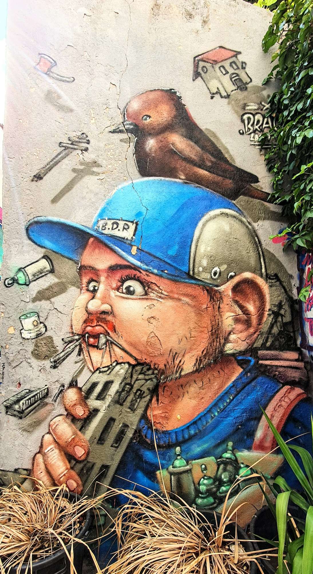 
								Street-art graffiti fresque 
								 
									2A Rue du Bouleau
									13002
									Marseille
									France 
									Pat Finder
								Street-Art-Safari.com
								