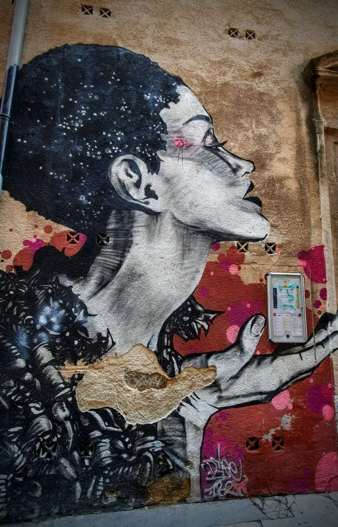 
								Street-art graffiti fresque 
								Dire 
									34 Rue des Honneurs
									13002
									Marseille
									France 
									Pat Finder
								Street-Art-Safari.com
								