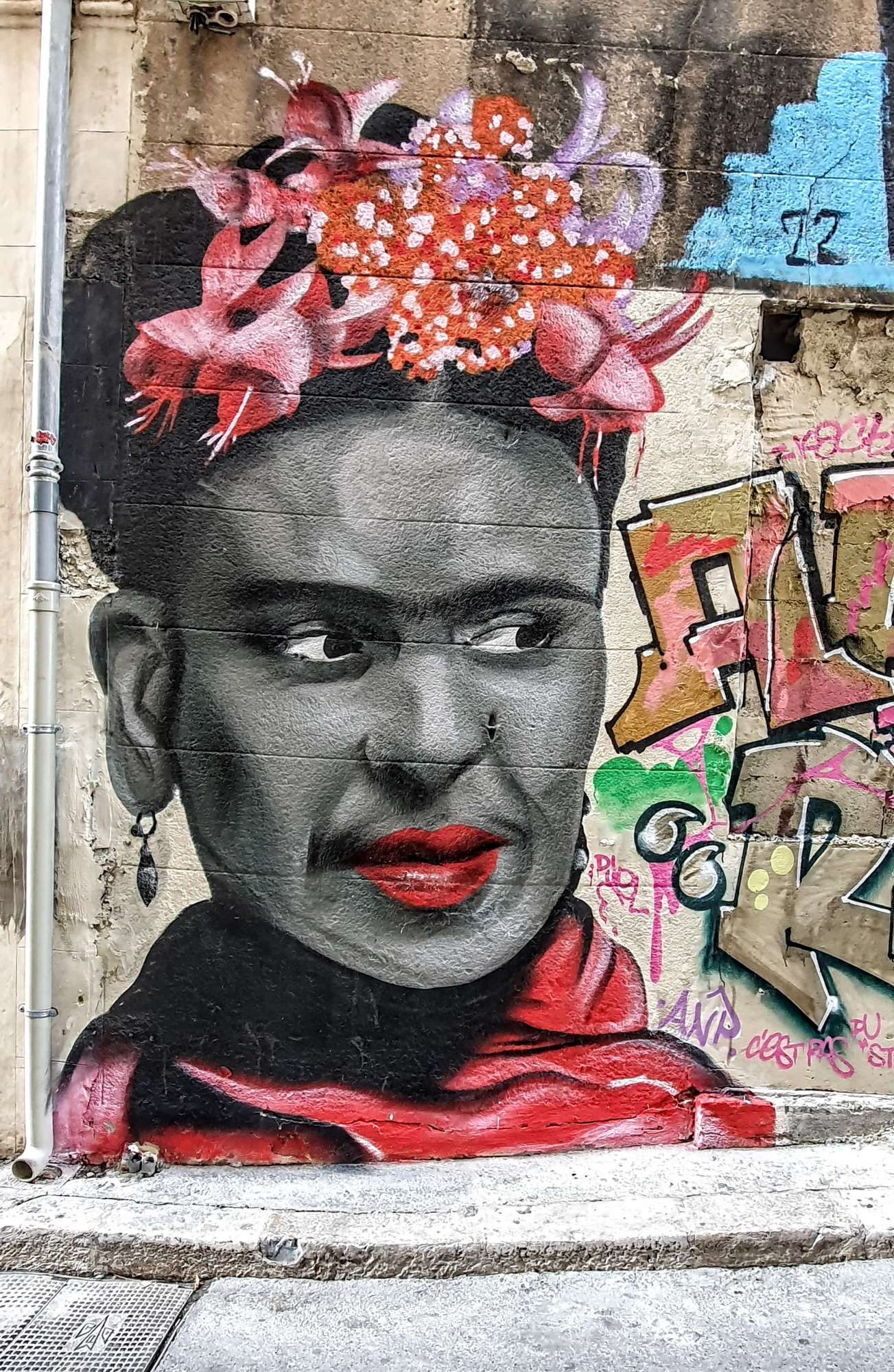 
								Street-art graffiti fresque 
								 
									34 Mont&eacute;e des Accoules
									13002
									Marseille
									France 
									Pat Finder
								Street-Art-Safari.com
								