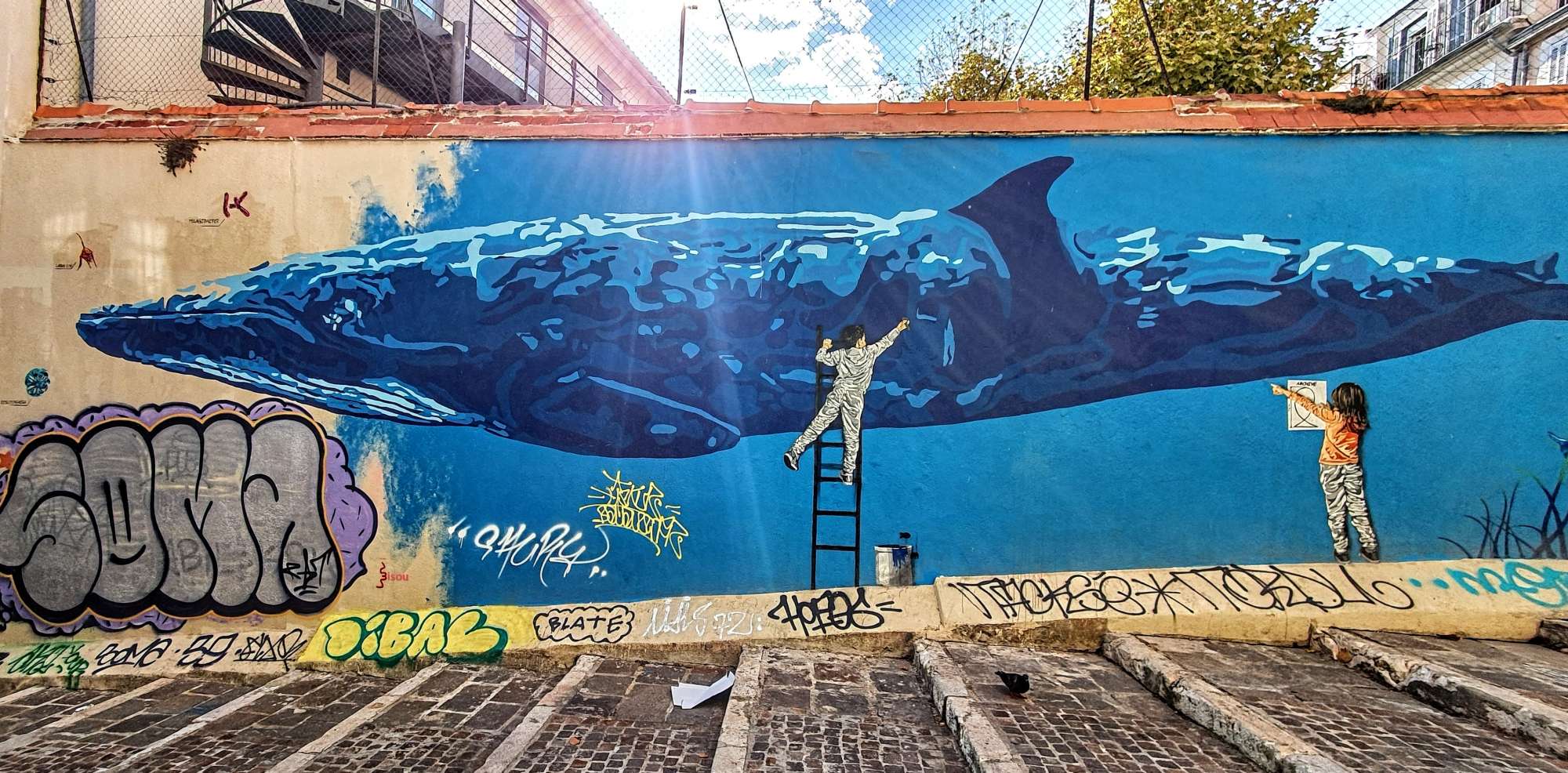 
								Street-art graffiti fresque 
								 
									29 Mont&eacute;e des Accoules
									13002
									Marseille
									France 
									Pat Finder
								Street-Art-Safari.com
								