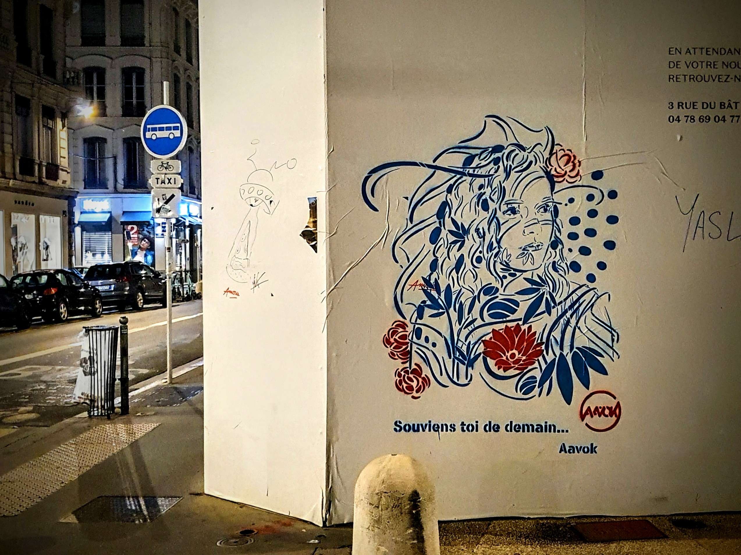 
								Street-art graffiti fresque 
								Aavok 
									69 Rue du Pr&eacute;sident &Eacute;douard Herriot
									69002
									Lyon
									France 
									Pat Finder
								Street-Art-Safari.com
								