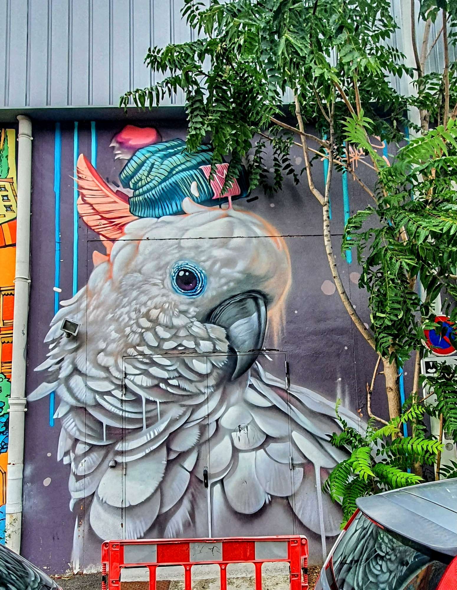 
								Street-art graffiti fresque 
								Kalouf 
									267 Rue Marcel M&eacute;rieux
									69007
									Lyon
									France 
									Pat Finder
								Street-Art-Safari.com
								