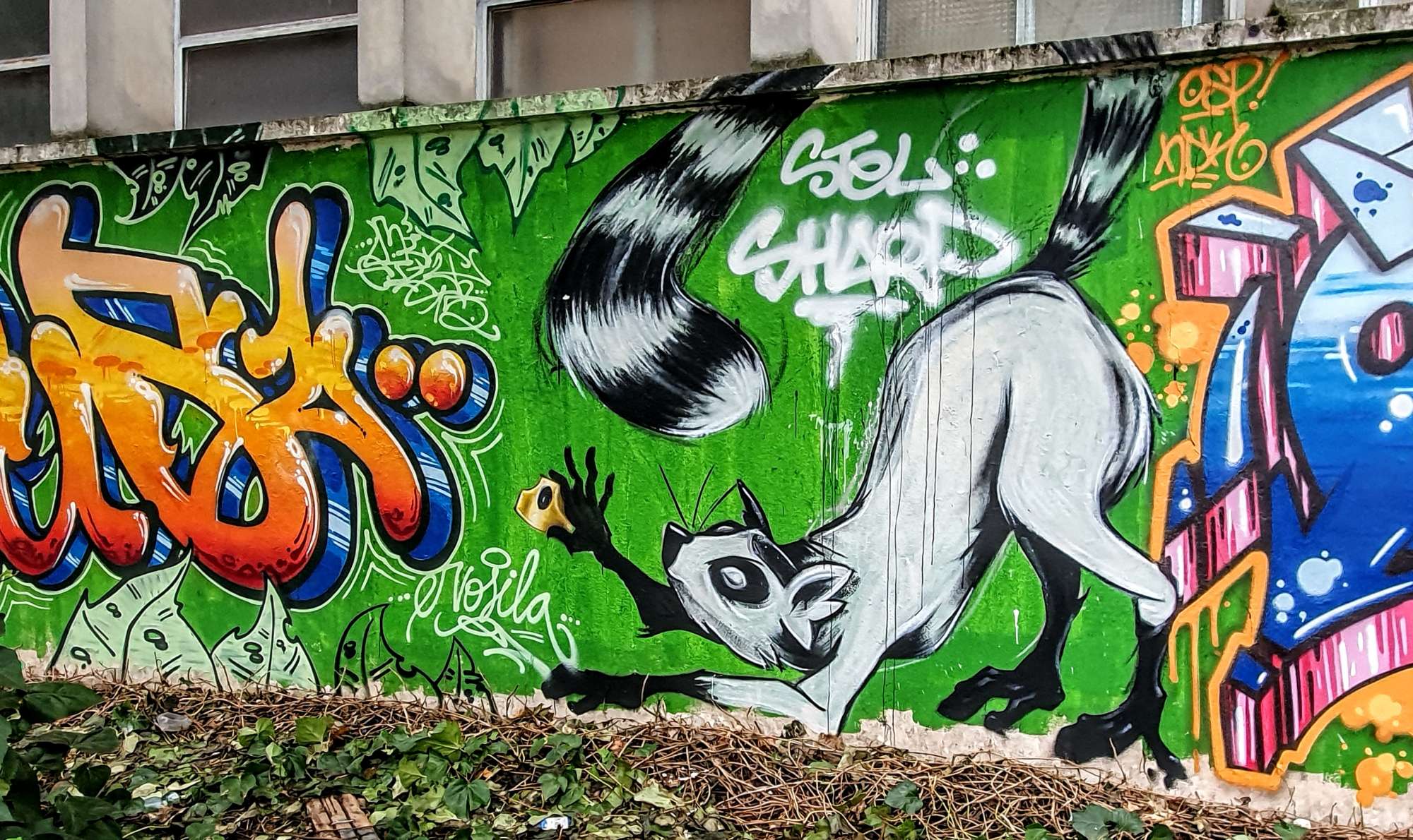 
								Street-art graffiti fresque 
								 
									124 Rue Francis de Pressens&eacute;
									69100
									Villeurbanne
									France 
									Pat Finder
								Street-Art-Safari.com
								