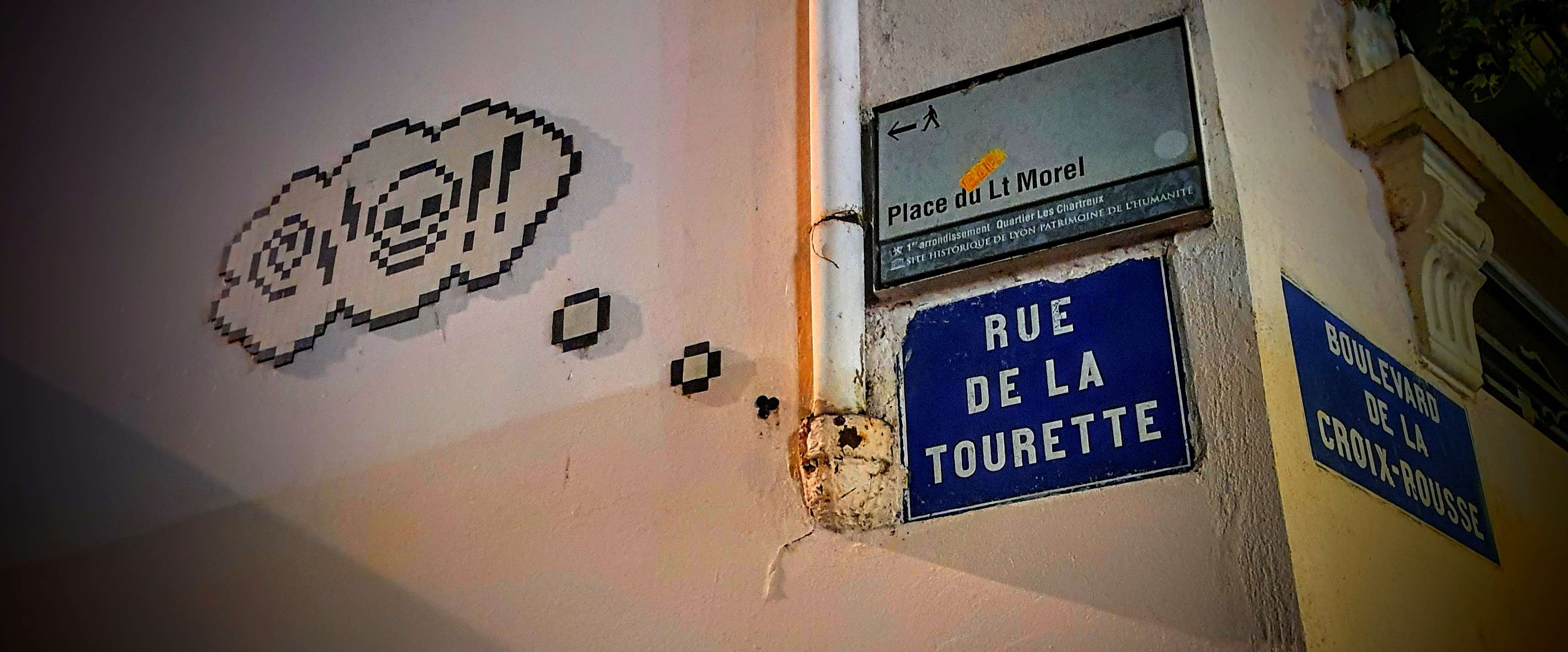 
								Street-art graffiti fresque 
								MifaMosa, Tegmo 
									58 Boulevard de la Croix-Rousse
									69001
									Lyon
									France 
									Pat Finder
								Street-Art-Safari.com
								