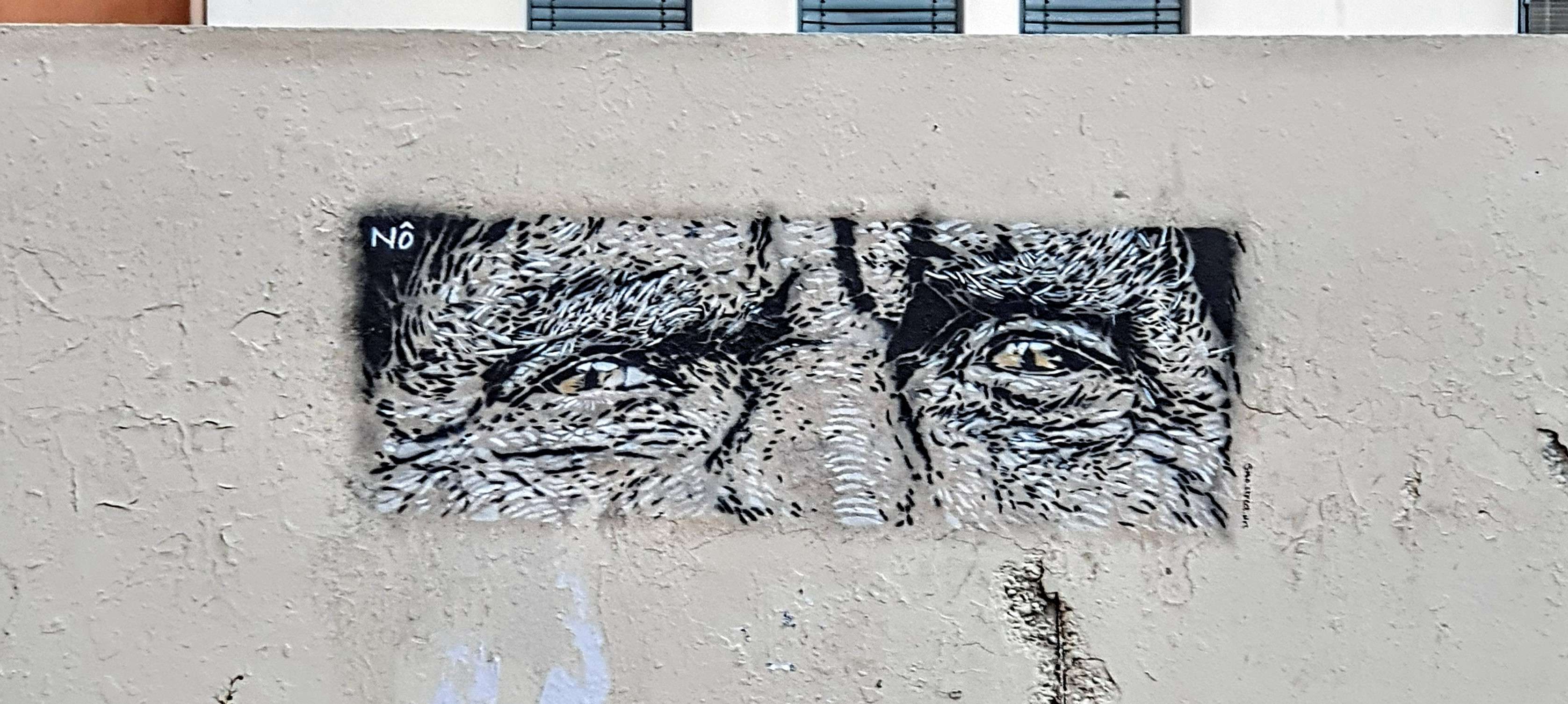 
								Street-art graffiti fresque 
								N&ocirc; 
									89 Mont&eacute;e de la Grande-C&ocirc;te
									69001
									Lyon
									France 
									Pat Finder
								Street-Art-Safari.com
								