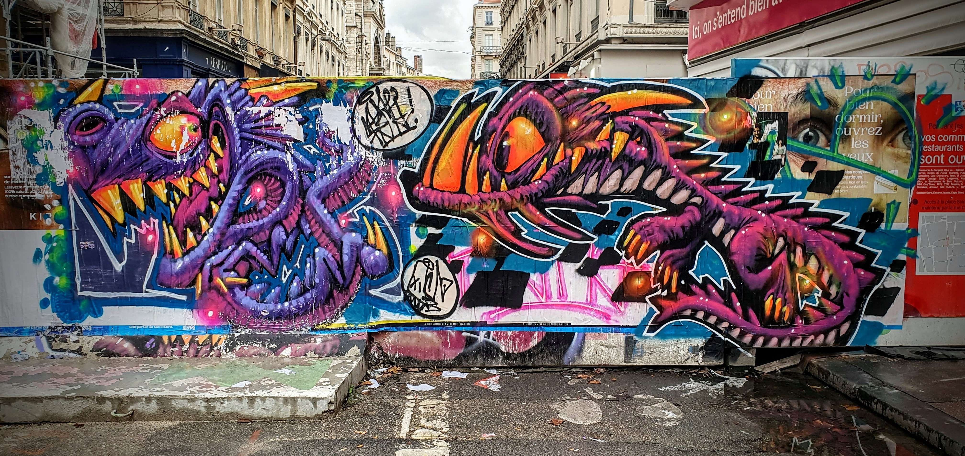 
								Street-art graffiti fresque 
								Skema 
									24 Rue Paul Chenavard
									69001
									Lyon
									France 
									Pat Finder
								Street-Art-Safari.com
								