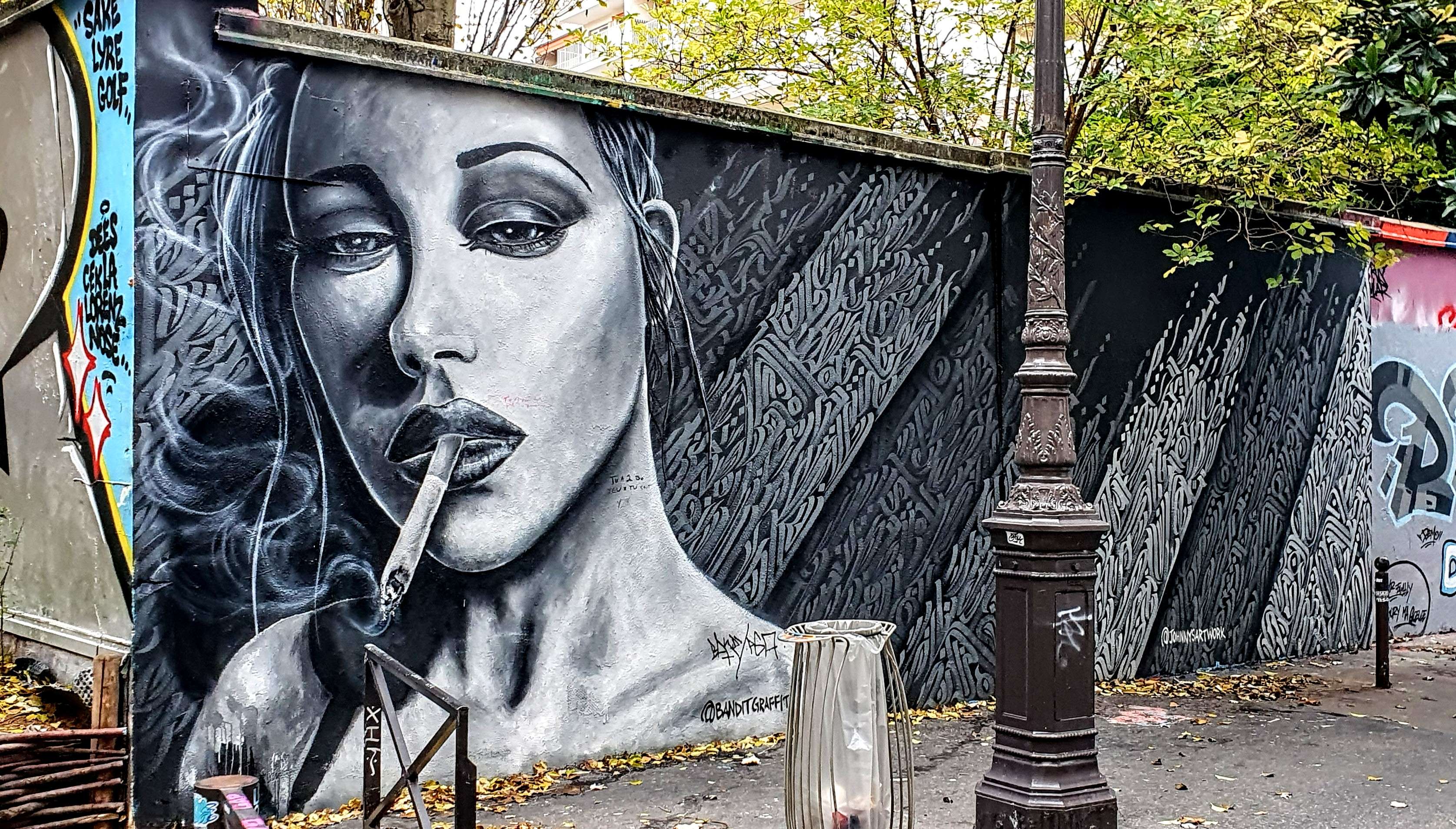 
								Street-art graffiti fresque 
								 
									6 Rue Henri Nogu&egrave;res
									75019
									Paris
									France 
									Pat Finder
								Street-Art-Safari.com
								