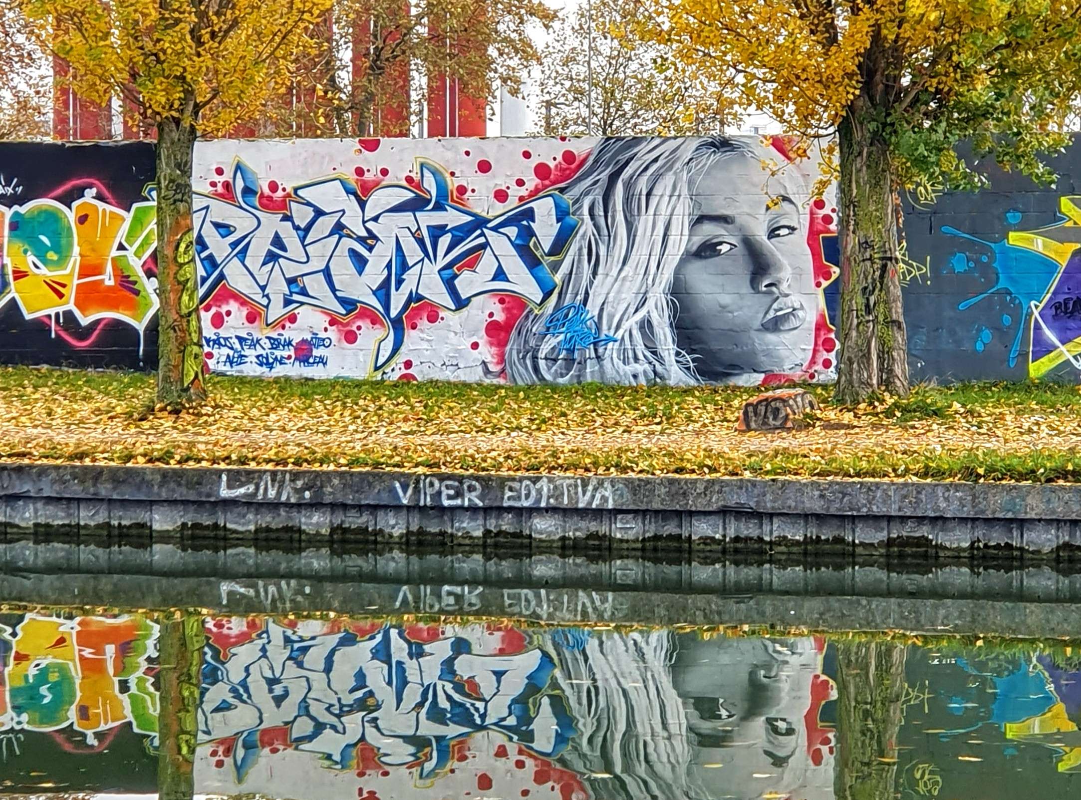 
								Street-art graffiti fresque 
								 
									5 D40
									93000
									Bobigny
									France 
									Pat Finder
								Street-Art-Safari.com
								