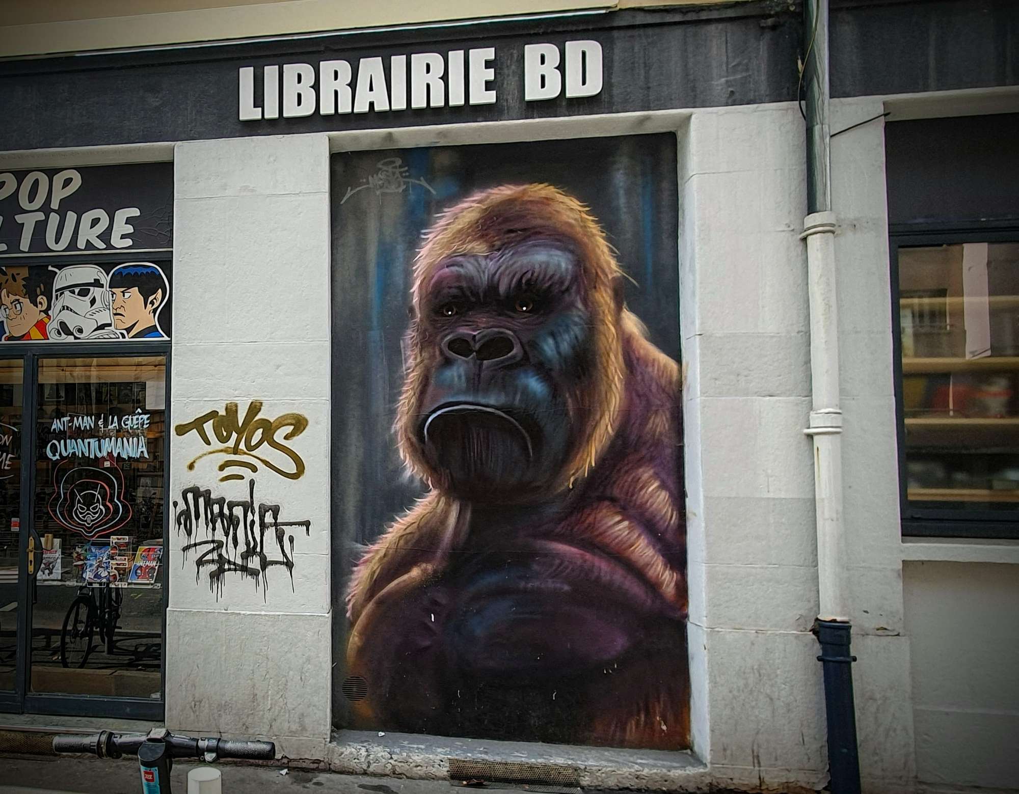 
								Street-art graffiti fresque 
								Masta 
									305-307 Rue Garibaldi
									69007
									Lyon
									France 
									Pat Finder
								Street-Art-Safari.com
								