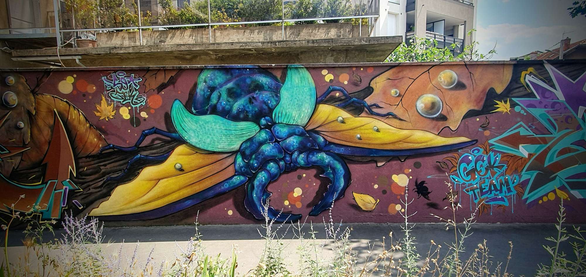 
								Street-art graffiti fresque 
								GEK Team, Soak 
									65 Rue du Moulin &agrave; Vent
									69008
									Lyon
									France 
									Pat Finder
								Street-Art-Safari.com
								