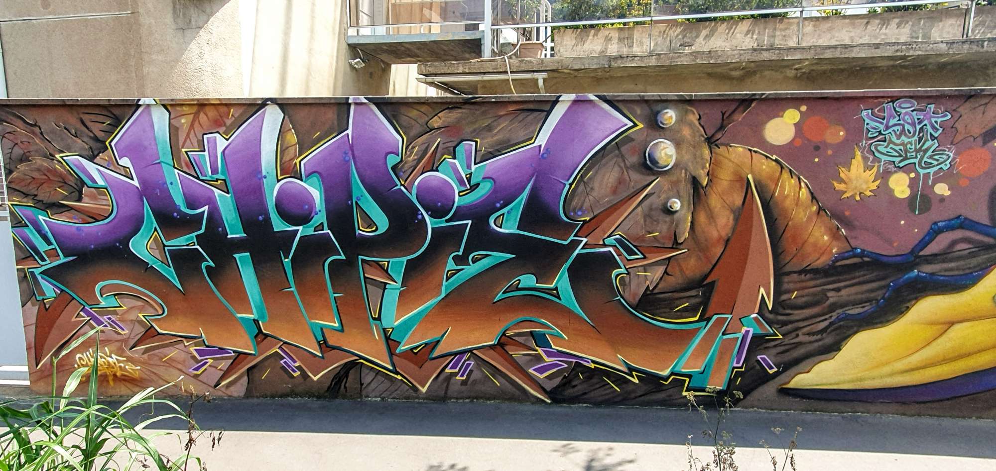 
								Street-art graffiti fresque 
								Chipie 
									65 Rue du Moulin &agrave; Vent
									69008
									Lyon
									France 
									Pat Finder
								Street-Art-Safari.com
								