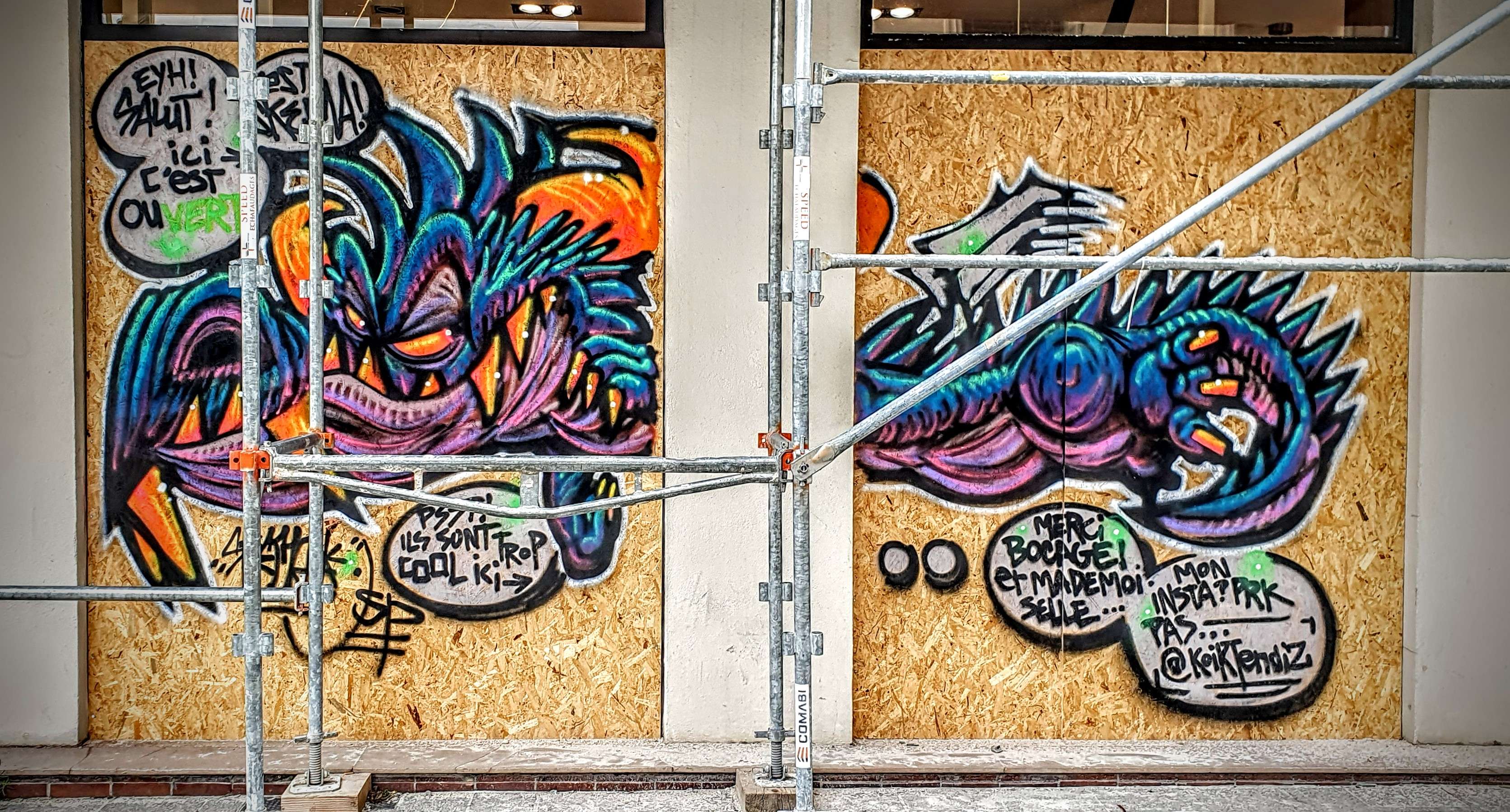 
								Street-art graffiti fresque 
								Skema 
									1 Rue Victor Hugo
									69002
									Lyon
									France 
									Pat Finder
								Street-Art-Safari.com
								