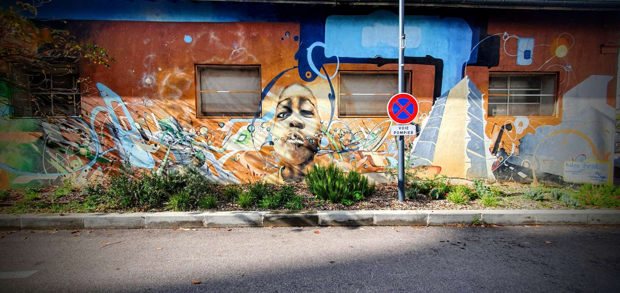 
								Street-art graffiti fresque 
								 
									84 Avenue Paul Santy
									69008
									Lyon
									France 
									Pat Finder
								Street-Art-Safari.com
								