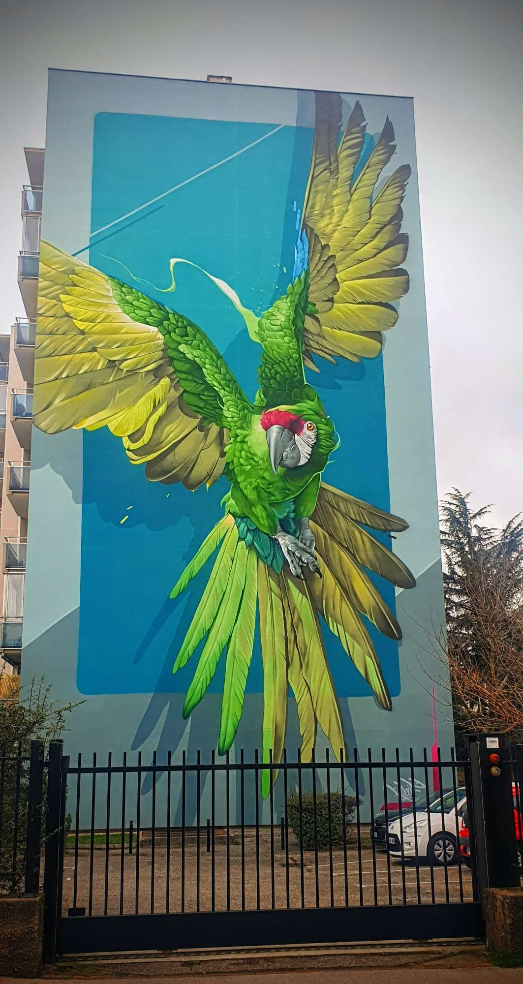 
								Street-art graffiti fresque 
								Kalouf 
									15 Rue Villon
									69008
									Lyon
									France 
									Pat Finder
								Street-Art-Safari.com
								