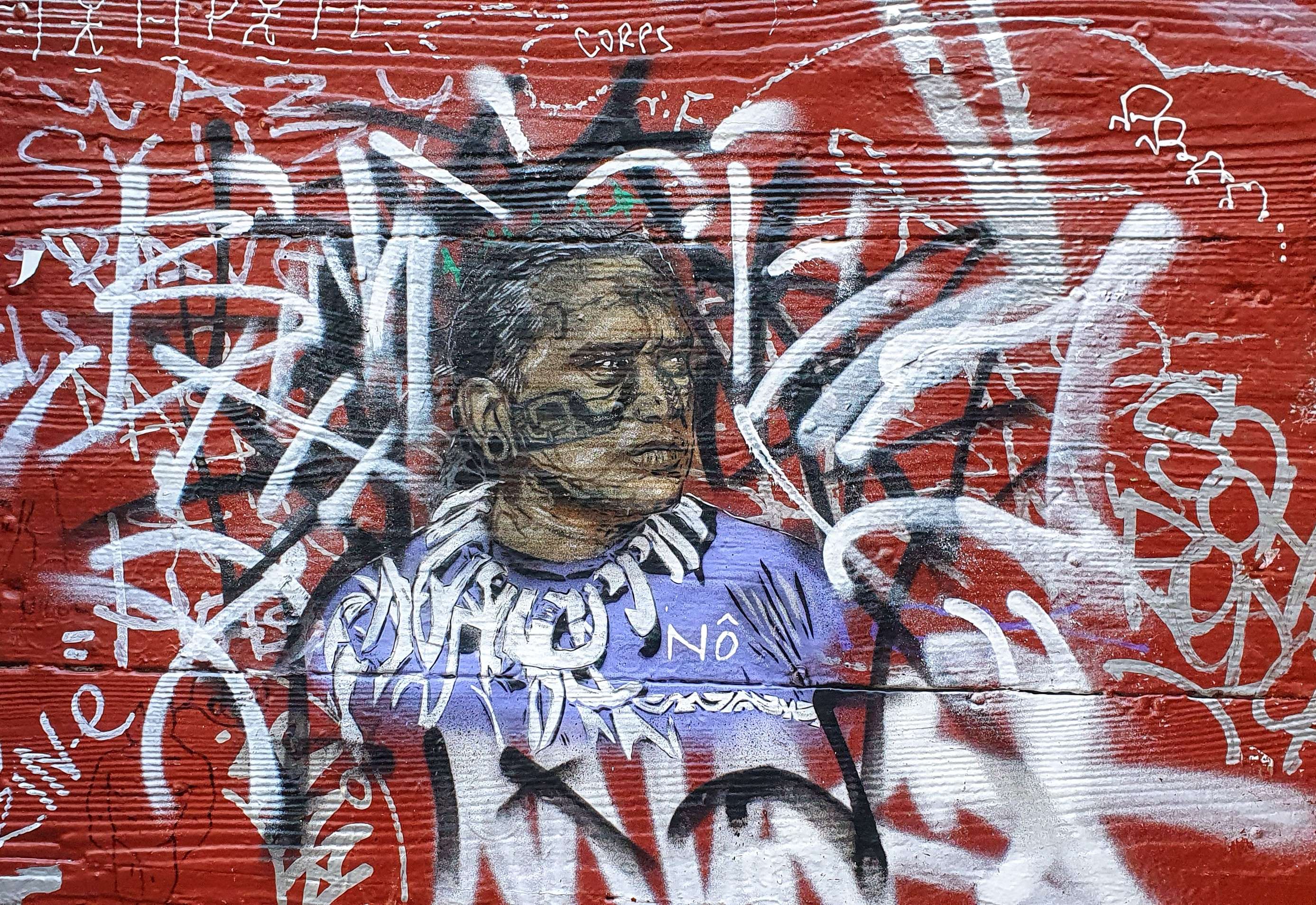 
								Street-art graffiti fresque 
								N&ocirc; 
									46 Mont&eacute;e de la Grande-C&ocirc;te
									69001
									Lyon
									France 
									Pat Finder
								Street-Art-Safari.com
								