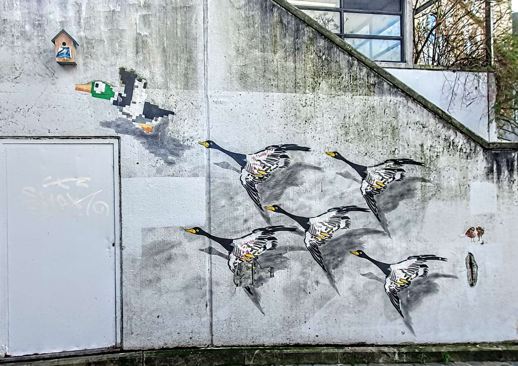 
								Street-art graffiti fresque 
								 
									15 Boulevard de l'Imp&eacute;ratrice
									1000
									Bruxelles
									Belgium 
									Pat Finder
								Street-Art-Safari.com
								