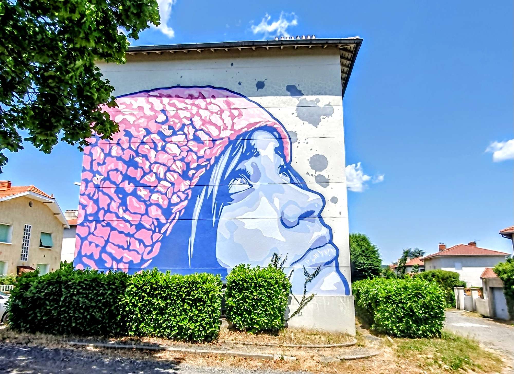 
								Street-art graffiti fresque 
								Viza 
									4 Rue Rameau
									42230
									Roche-la-Moli&egrave;re
									France 
									Pat Finder
								Street-Art-Safari.com
								