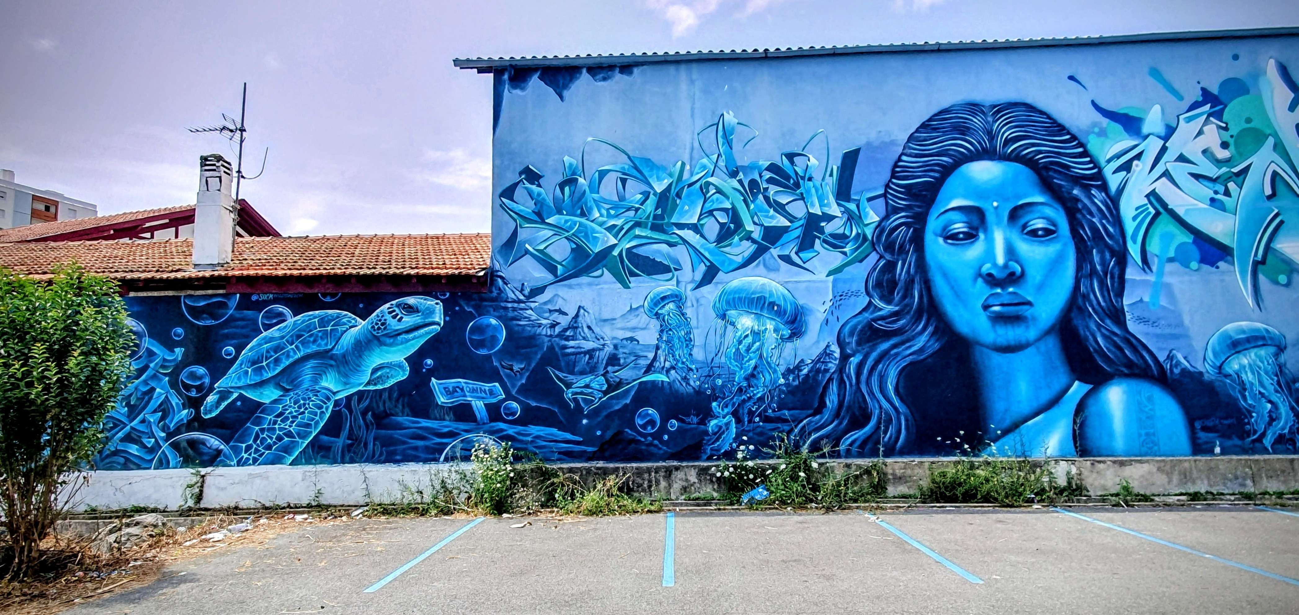 
								Street-art graffiti fresque 
								 
									12 Avenue Dubrocq
									64100
									Bayonne
									France 
									Pat Finder
								Street-Art-Safari.com
								