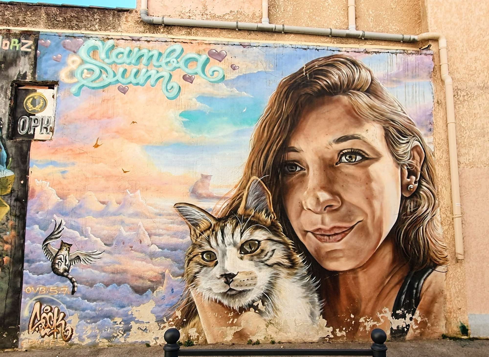 
								Street-art graffiti fresque 
								Sock 
									77 Impasse No&euml;l Verlaque
									83500
									La Seyne-sur-Mer
									France 
									Pat Finder
								Street-Art-Safari.com
								