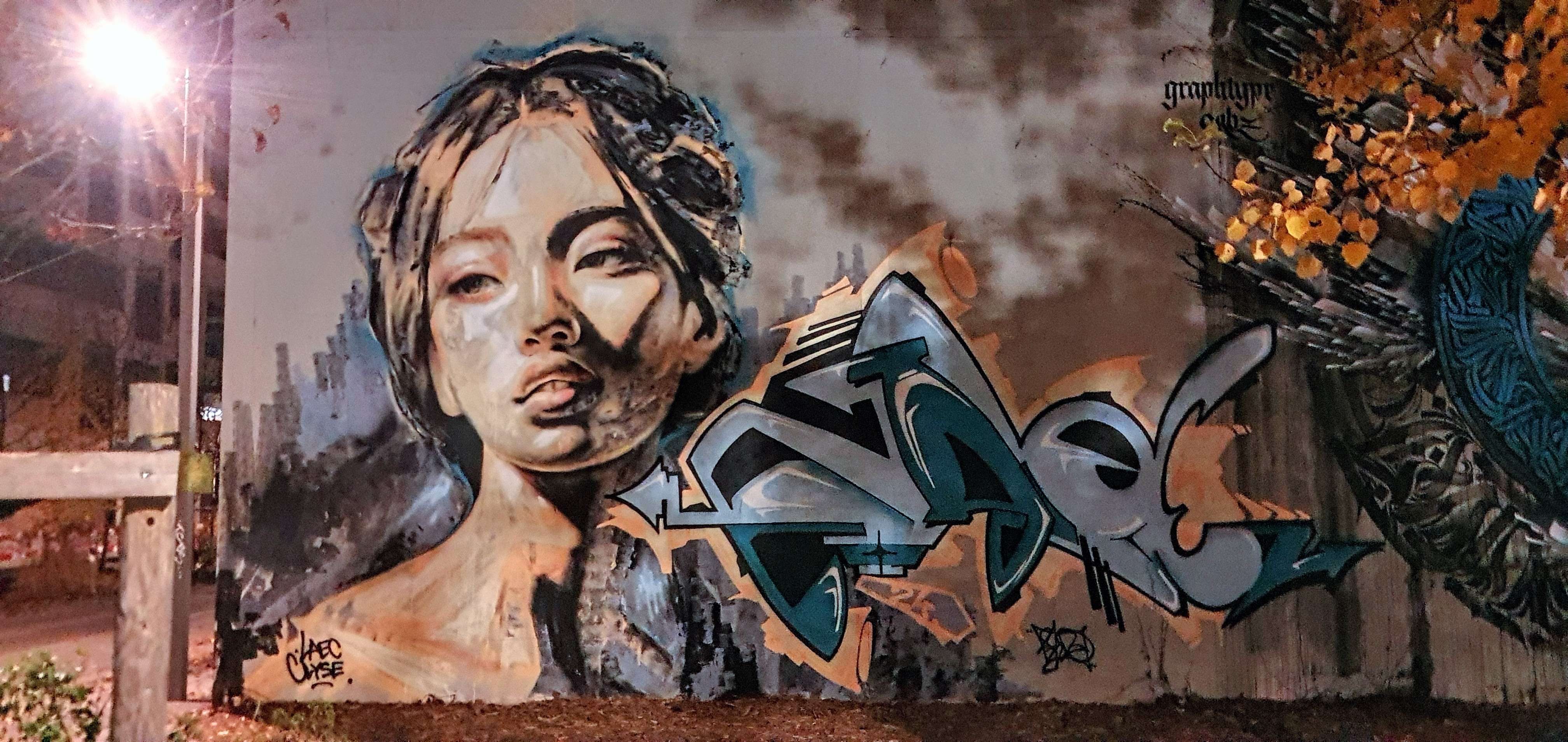 
								Street-art graffiti fresque 
								LAEC 
									220 Avenue de S&eacute;velin
									1004
									Lausanne
									Switzerland 
									Pat Finder
								Street-Art-Safari.com
								