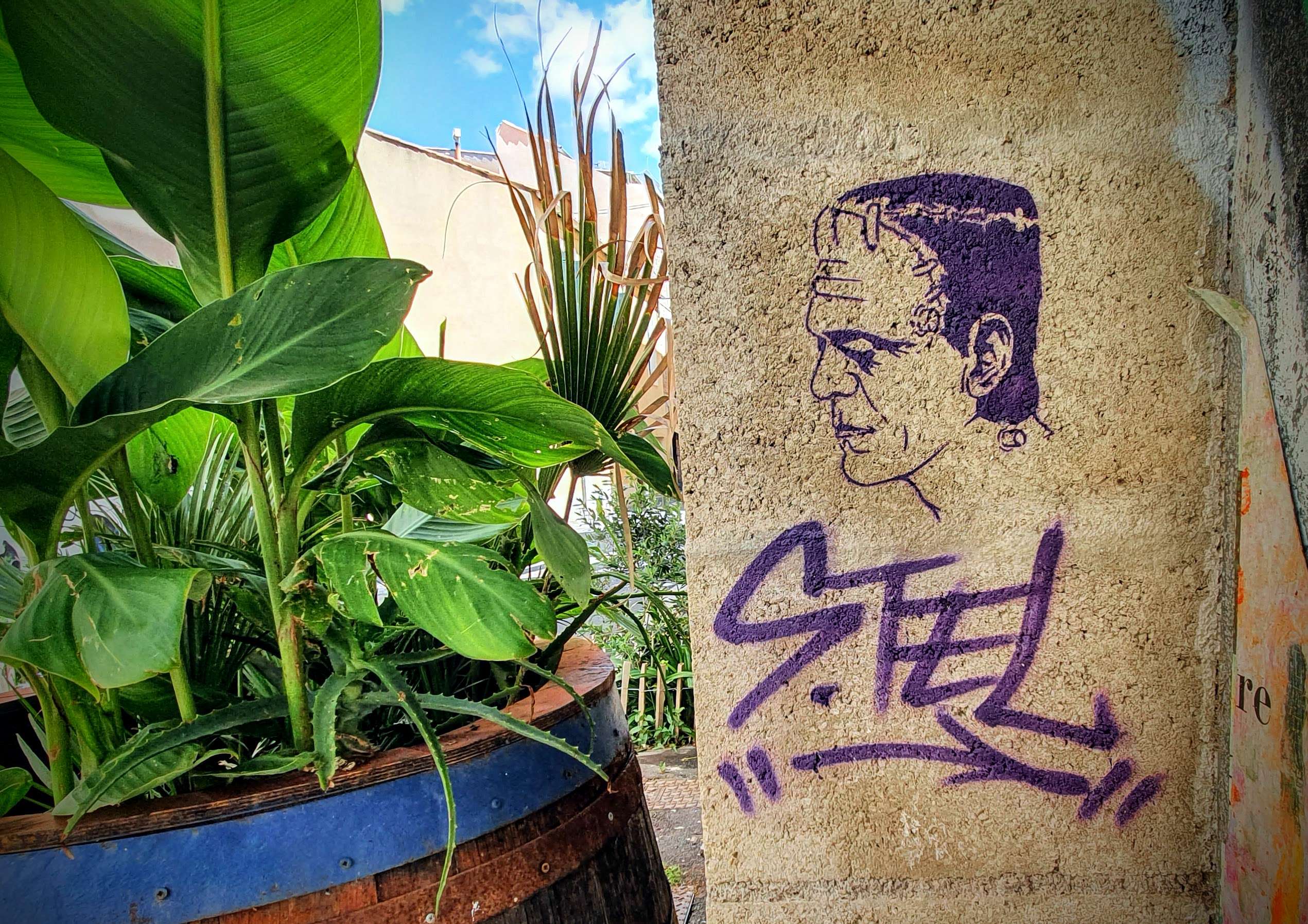 
								Street-art graffiti fresque 
								S.Tel 
									13 Rue de Tunis
									34200
									S&egrave;te
									France 
									AnunaQi
								Street-Art-Safari.com
								