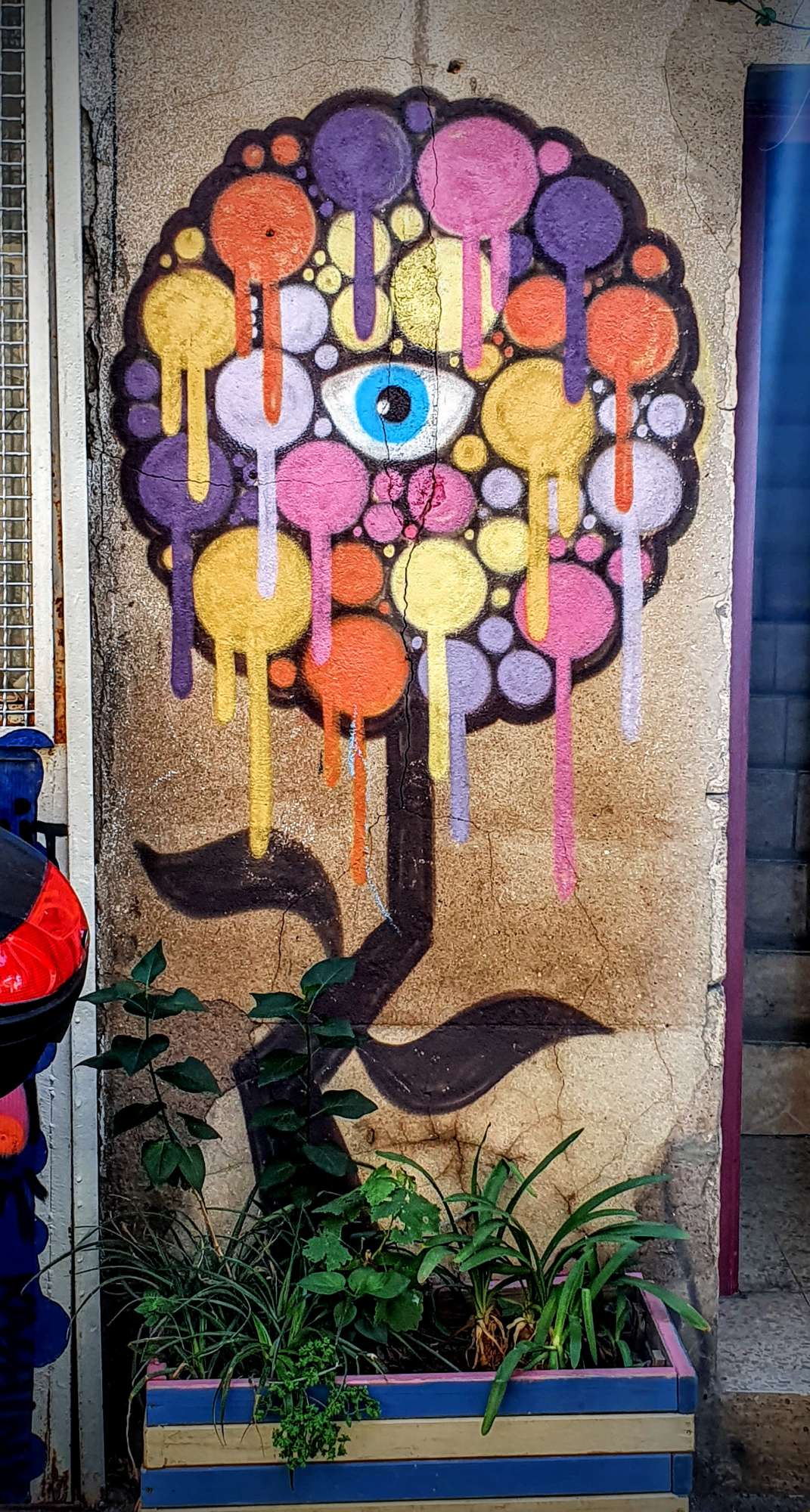 
								Street-art graffiti fresque 
								Depose 
									18B Rue de Tunis
									34200
									S&egrave;te
									France 
									AnunaQi
								Street-Art-Safari.com
								