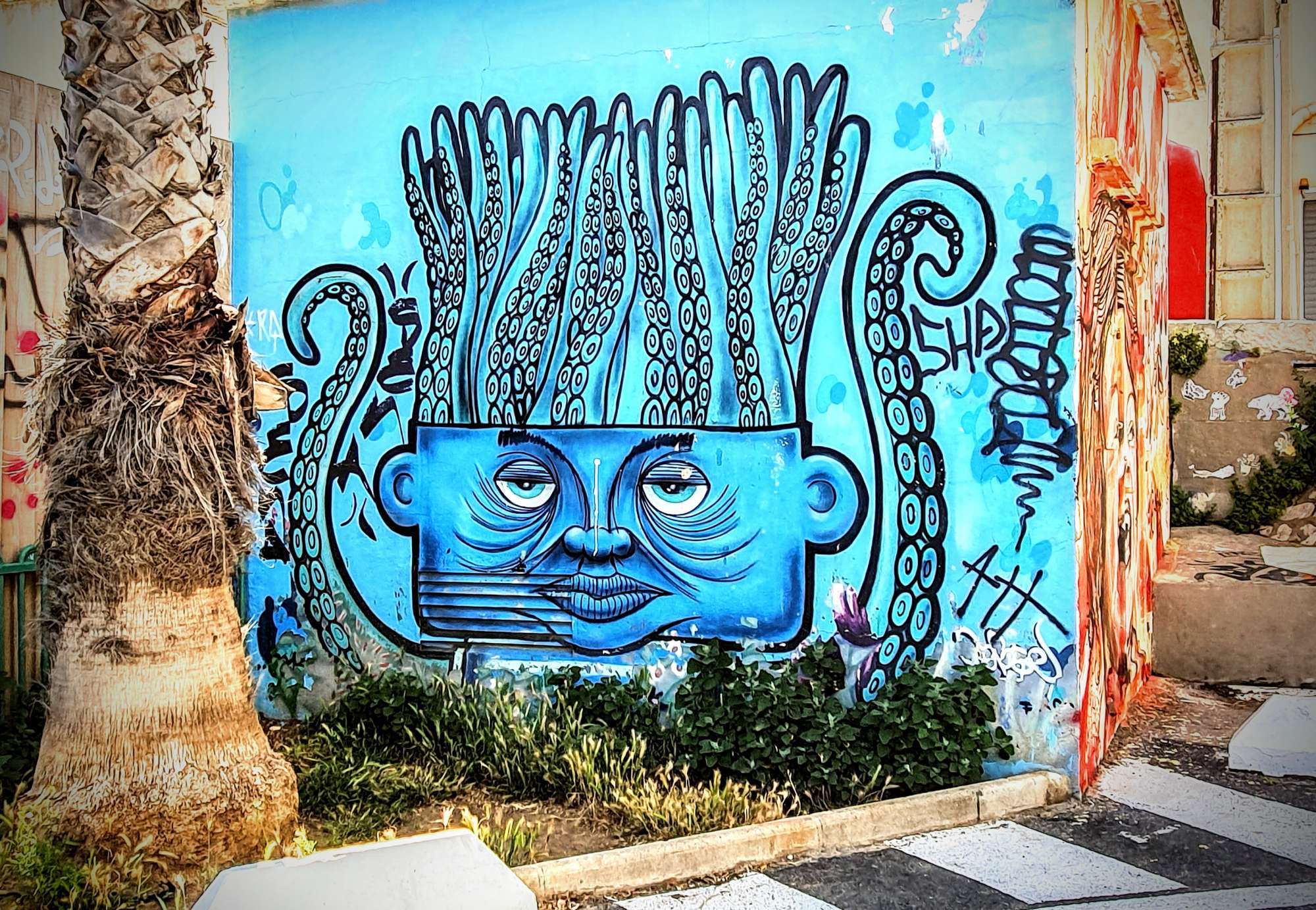 
								Street-art graffiti fresque 
								 
									26 Rue Villaret Joyeuse
									34200
									S&egrave;te
									France 
									AnunaQi
								Street-Art-Safari.com
								