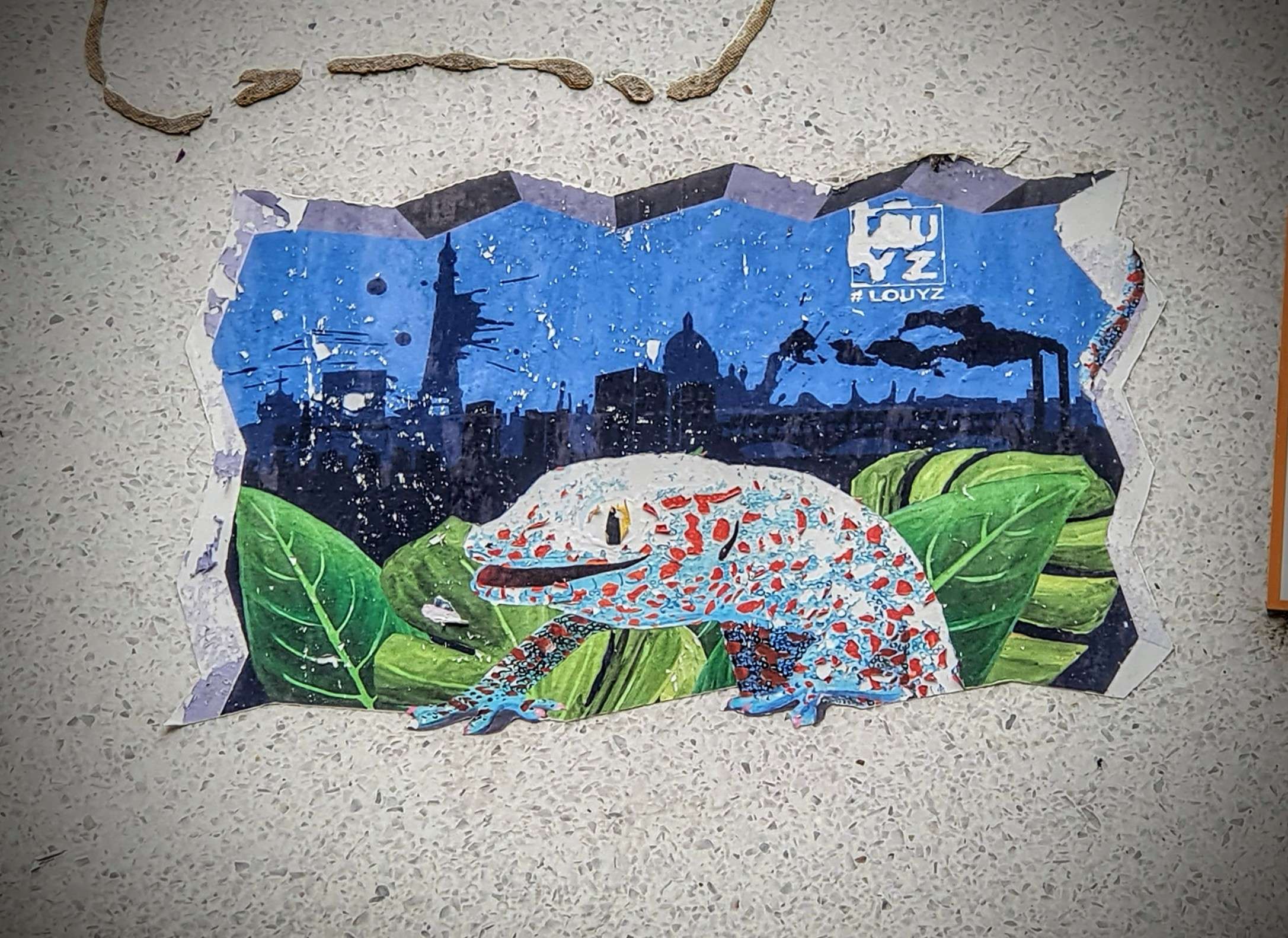 
								Street-art graffiti fresque 
								Louyz 
									20 Rue Ren&eacute; Goscinny
									75013
									Paris
									France 
									AnunaQi
								Street-Art-Safari.com
								